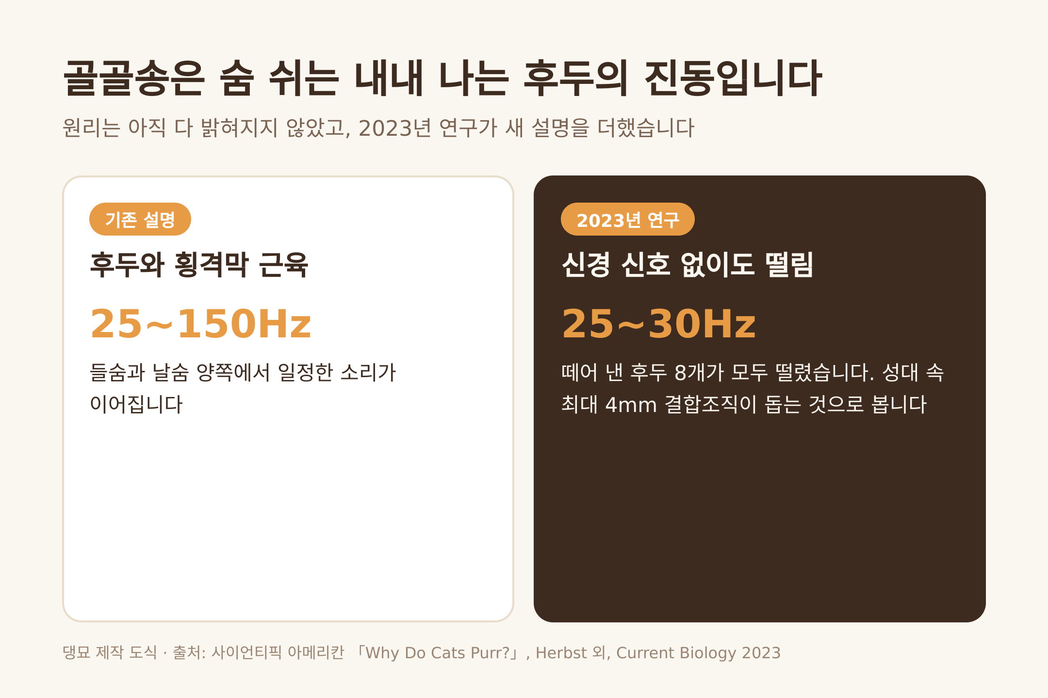 골골송이 나는 원리, 기존 설명과 2023년 연구 (댕묘 제작 도식)