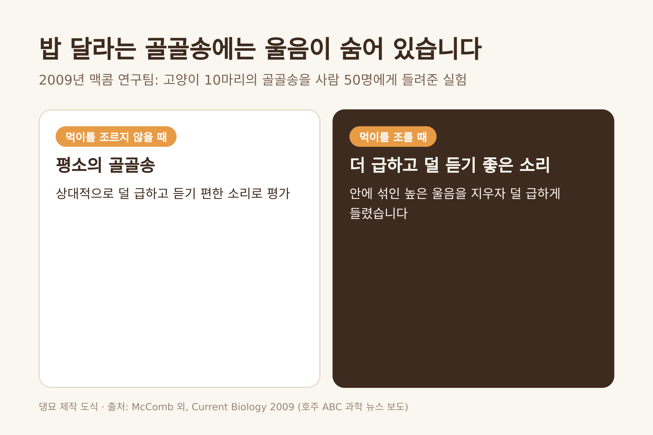 밥 달라는 골골송에 숨은 울음 (댕묘 제작 도식)
