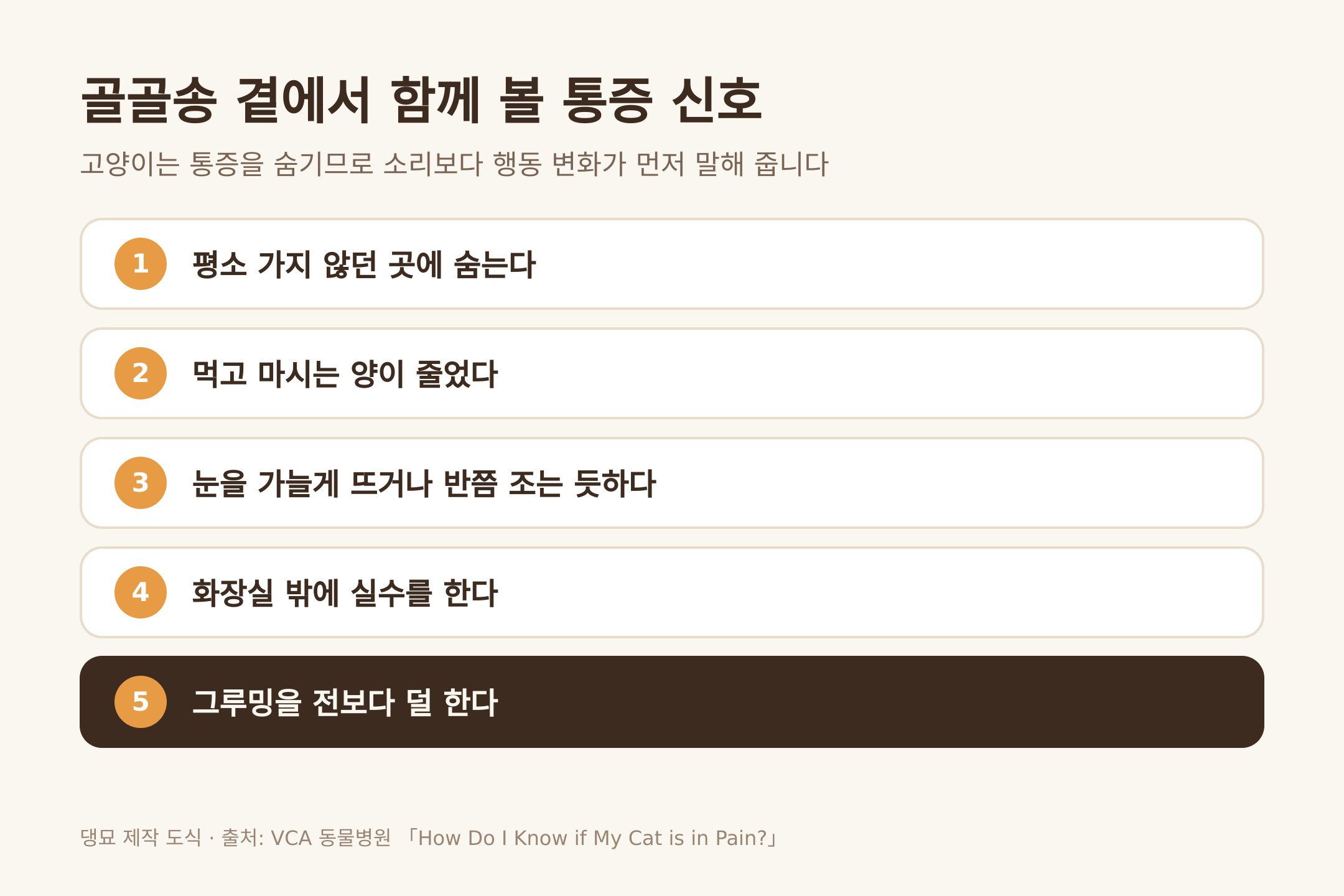골골송 곁에서 함께 볼 통증 신호 (댕묘 제작 도식)