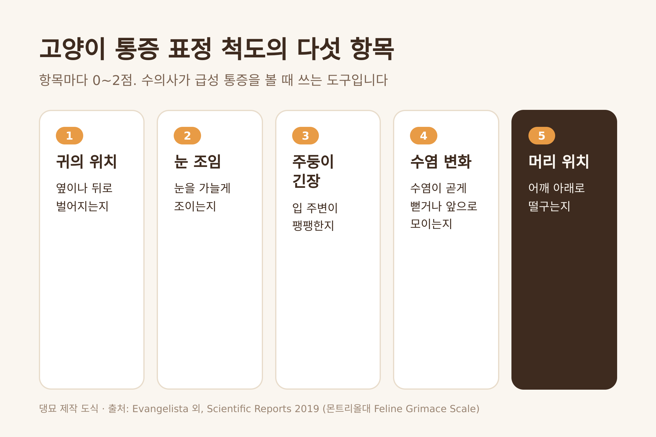 고양이 통증 표정 척도의 다섯 항목 (댕묘 제작 도식)