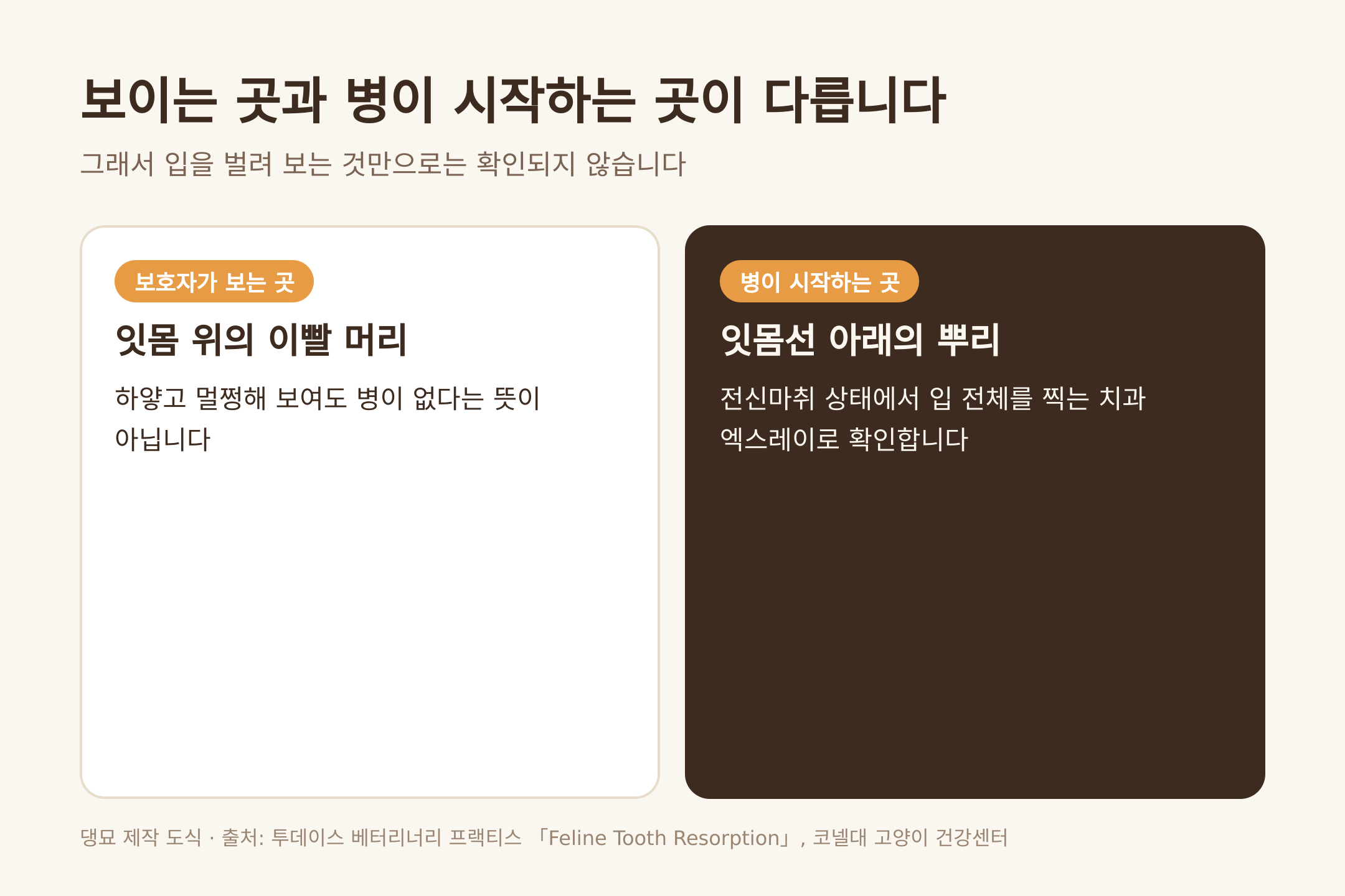 보이는 곳과 병이 시작하는 곳 (댕묘 제작 도식)