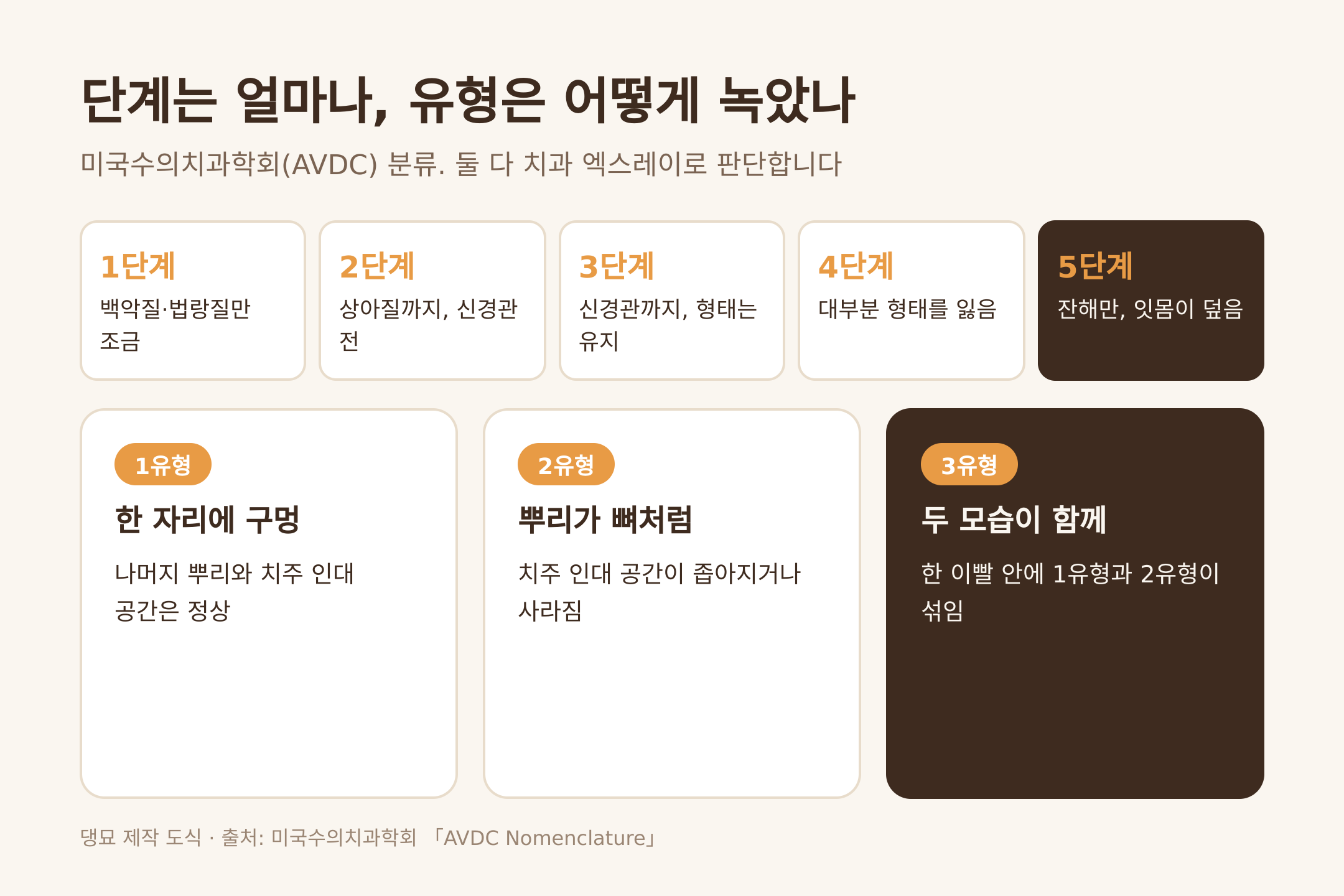 미국수의치과학회의 5단계와 3유형 (댕묘 제작 도식)
