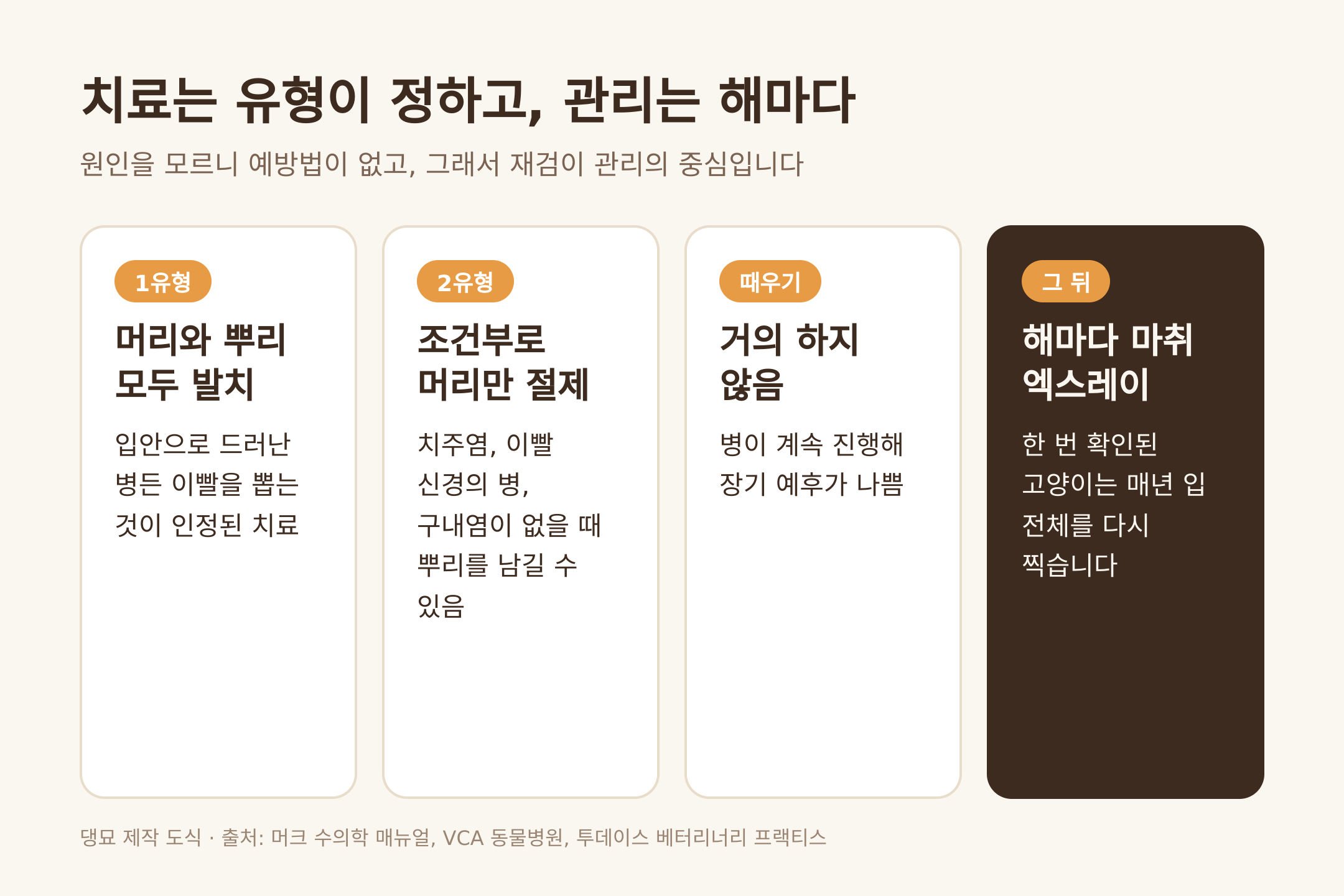 유형별 치료와 해마다 하는 재검 (댕묘 제작 도식)