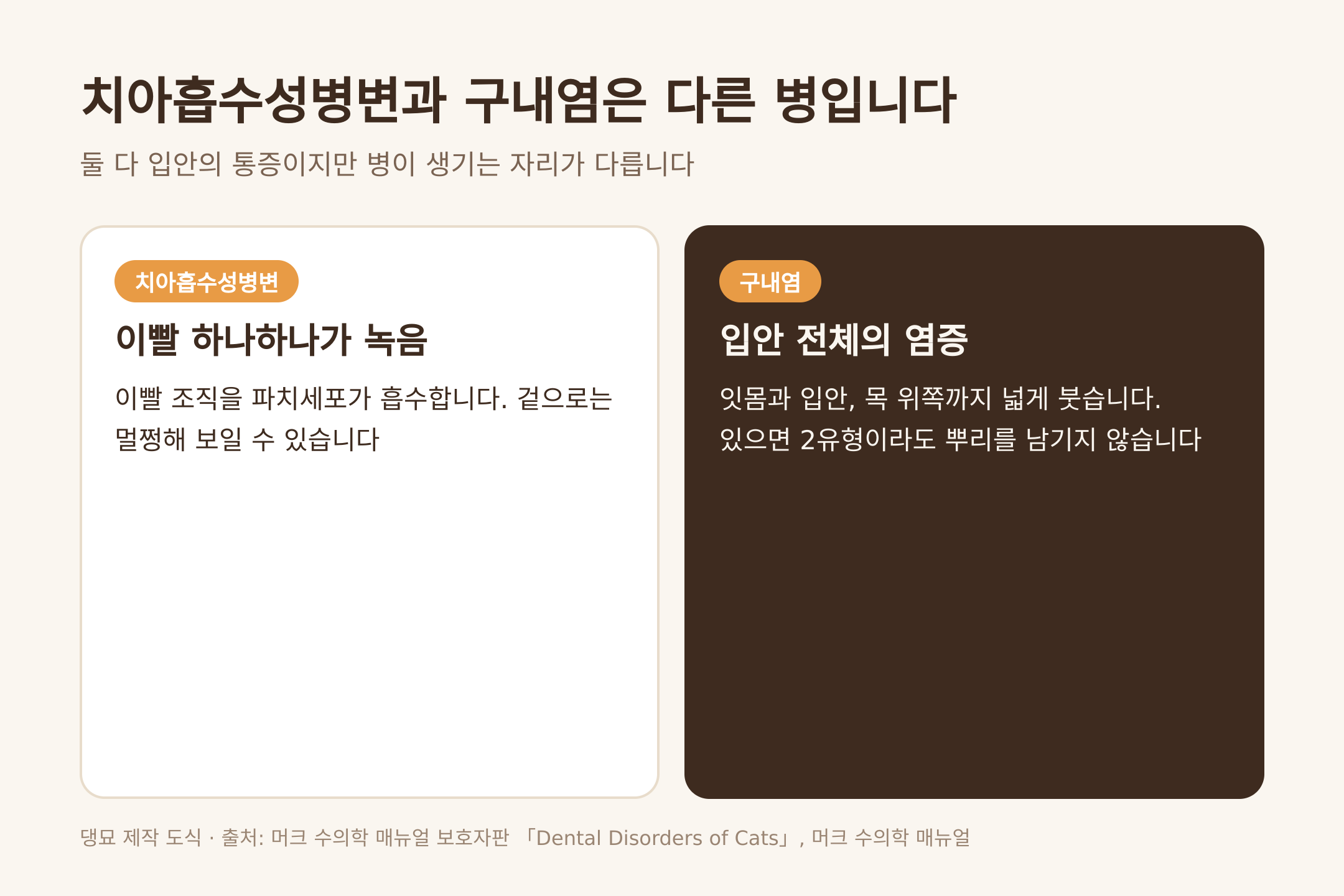 치아흡수성병변과 구내염의 차이 (댕묘 제작 도식)