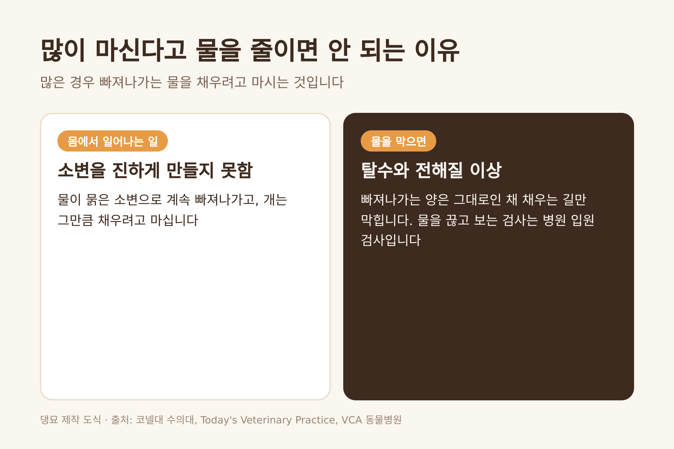 많이 마신다고 물을 줄이면 안 되는 이유 (댕묘 제작 도식)
