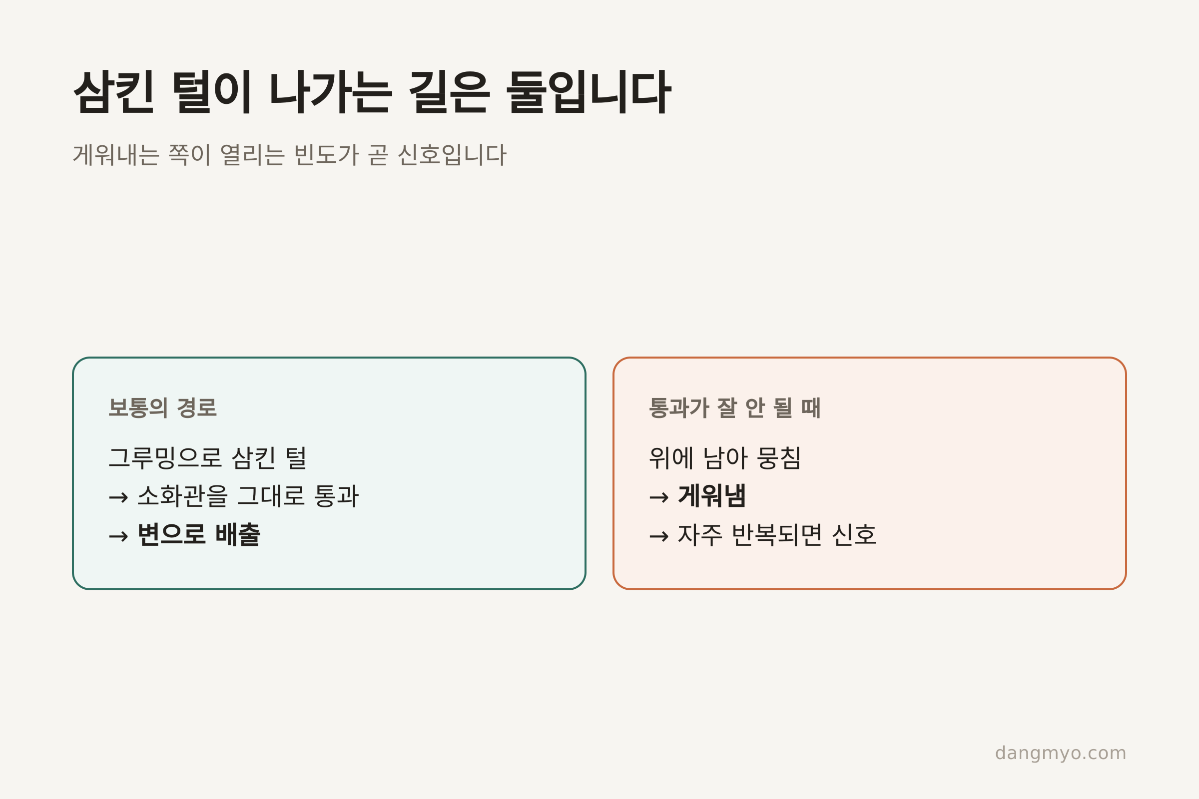 삼킨 털이 나가는 두 경로 (댕묘 제작)