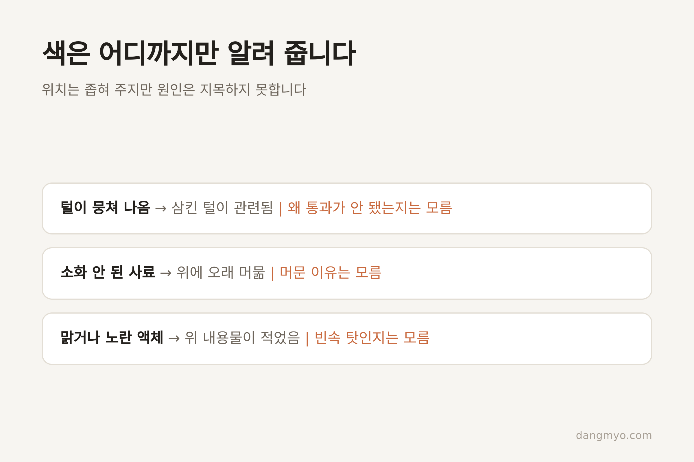 색과 내용물이 좁혀 주는 범위와 멈추는 지점 (댕묘 제작)