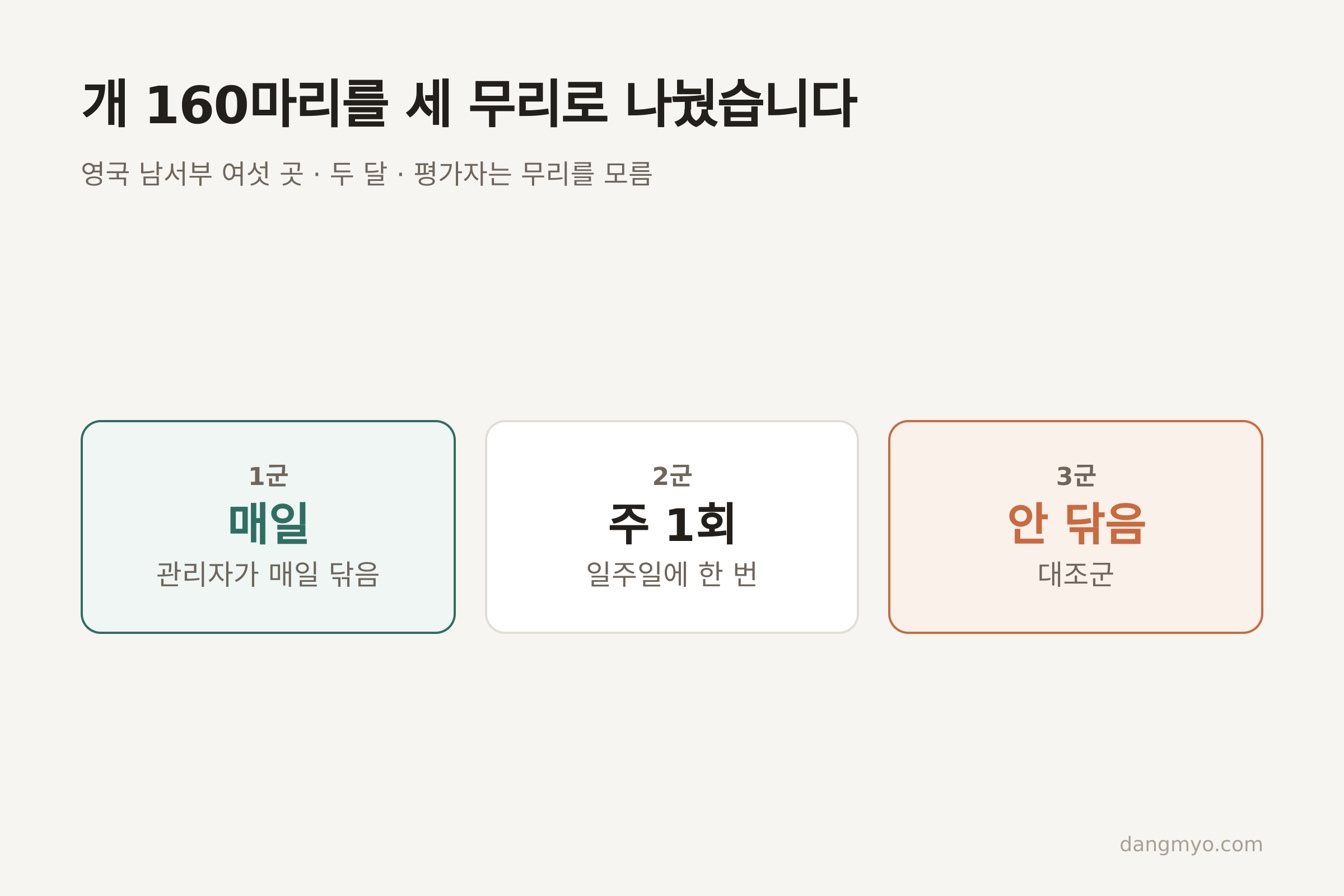 실험 설계 — 160마리를 세 무리로 (자료: Rooney 외, Animals 2021)