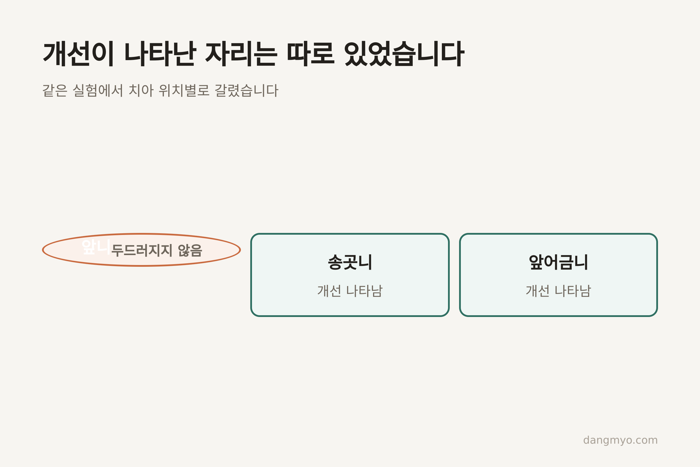 개선이 나타난 치아 위치 (자료: Rooney 외, Animals 2021)