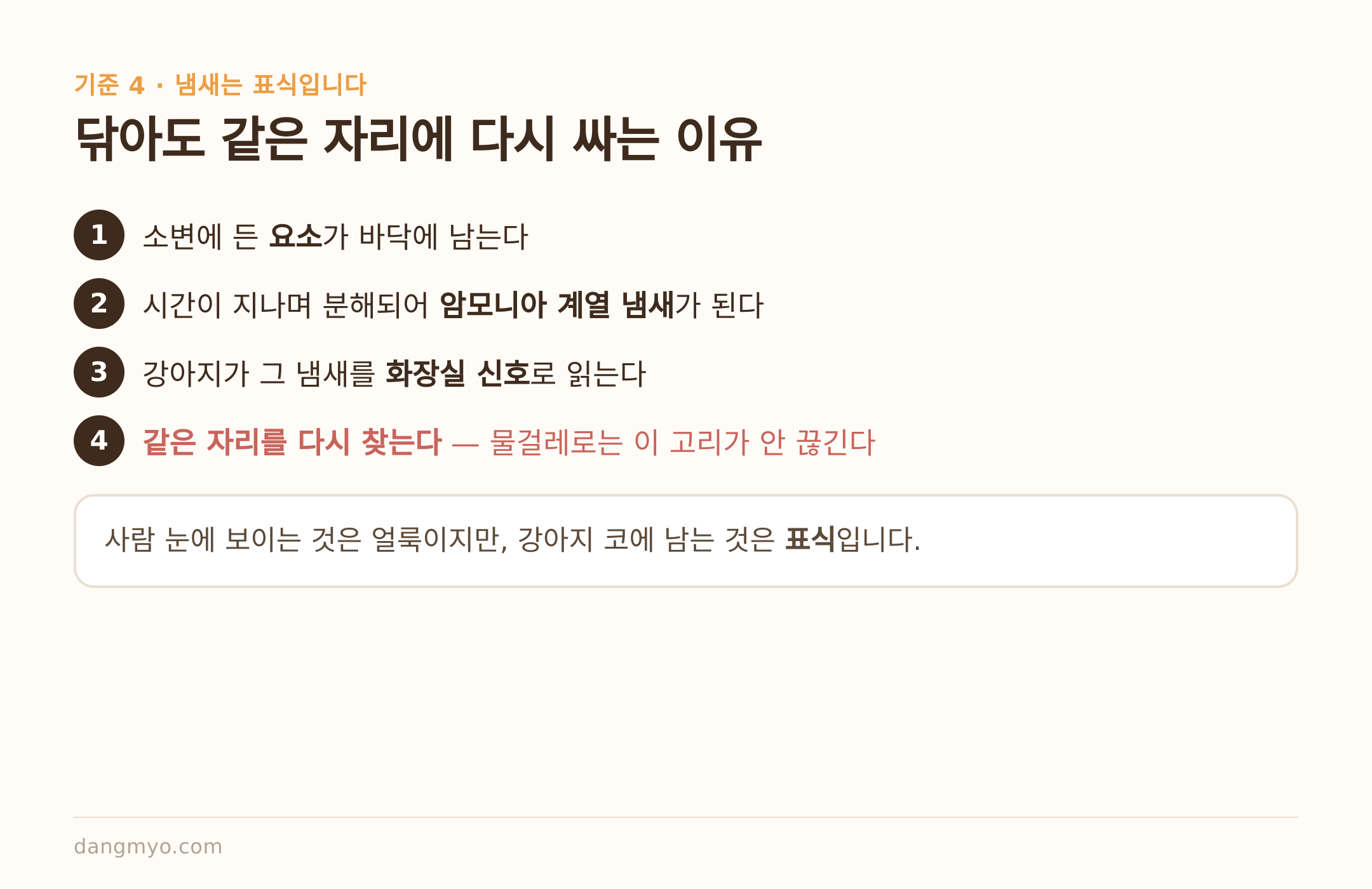 닦아도 같은 자리에 다시 싸는 이유 — 요소가 남긴 표식