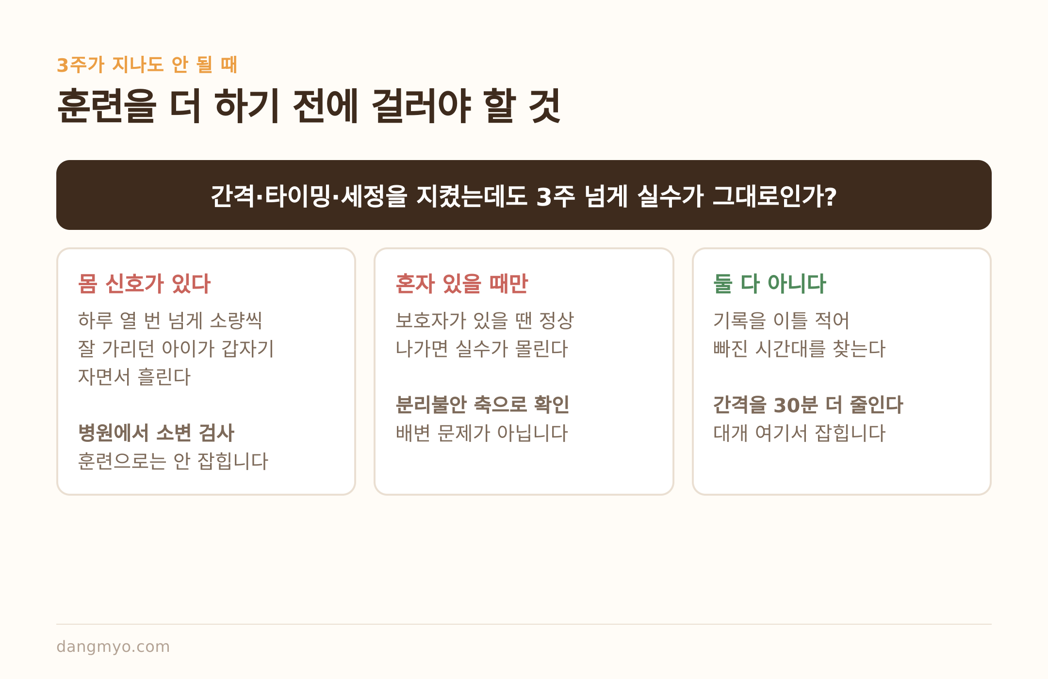 3주가 지나도 안 될 때 훈련보다 먼저 걸러야 할 것