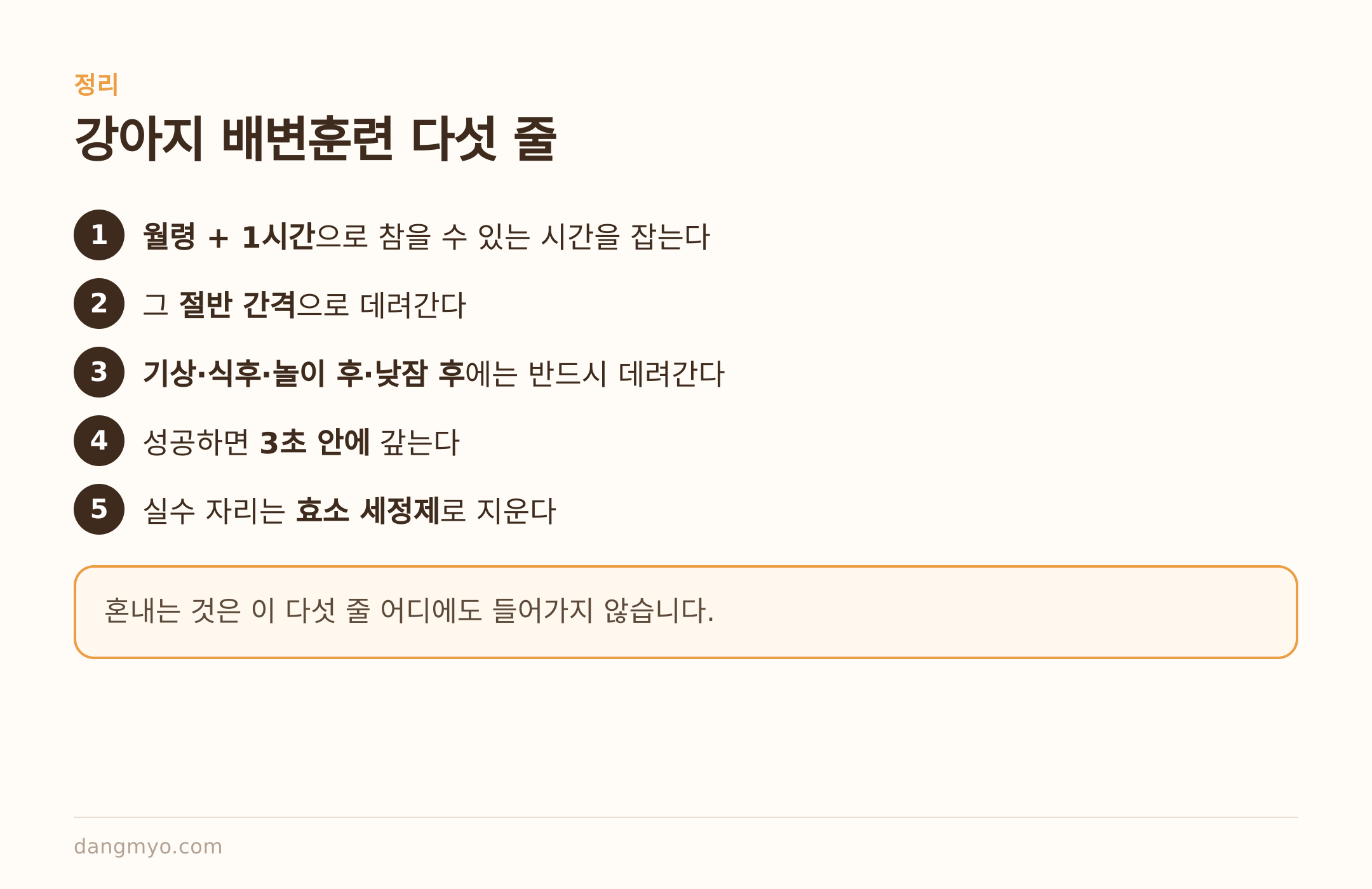 강아지 배변훈련 다섯 줄 요약