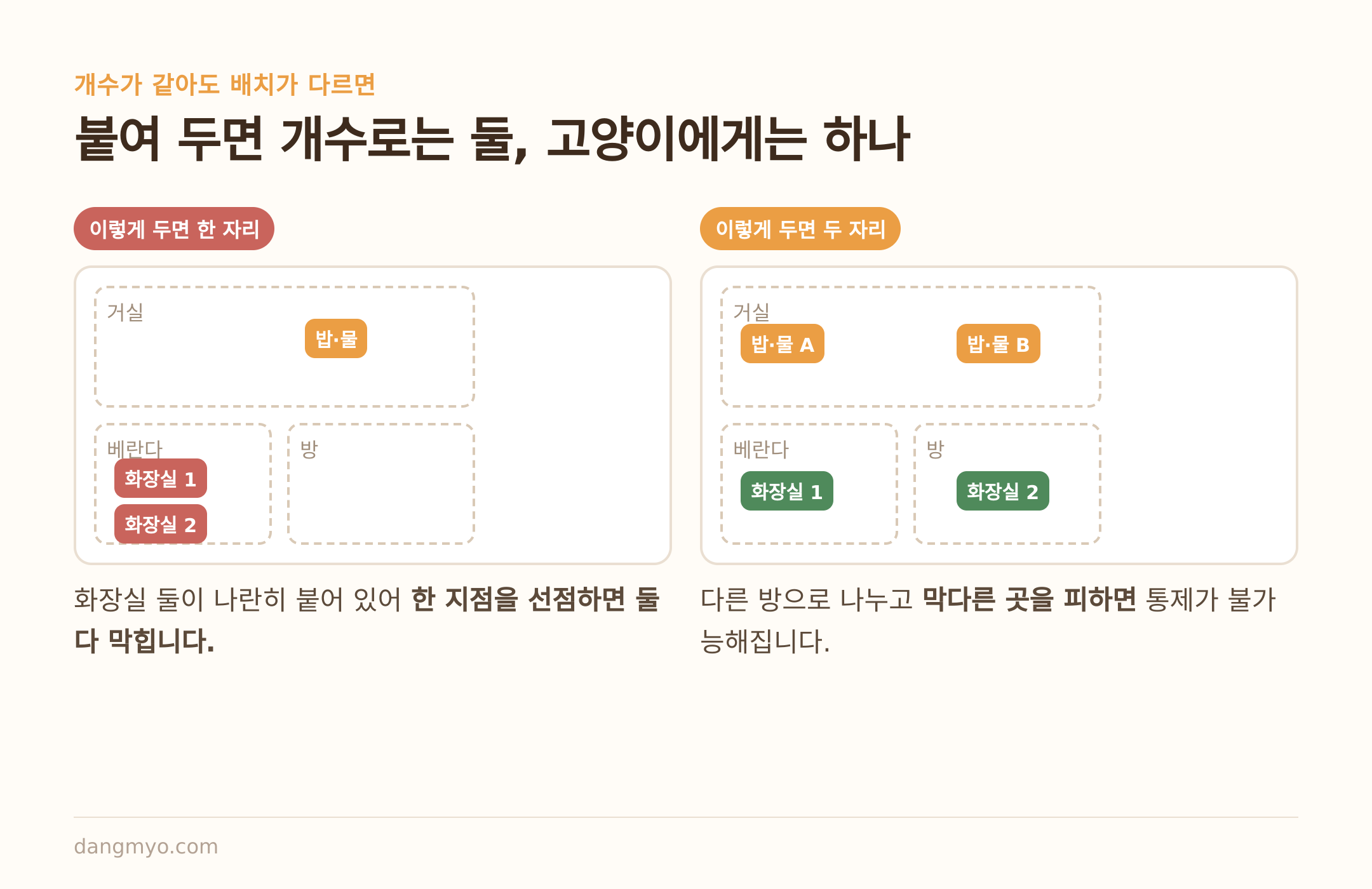 개수가 같아도 붙여 두면 고양이에게는 한 자리다