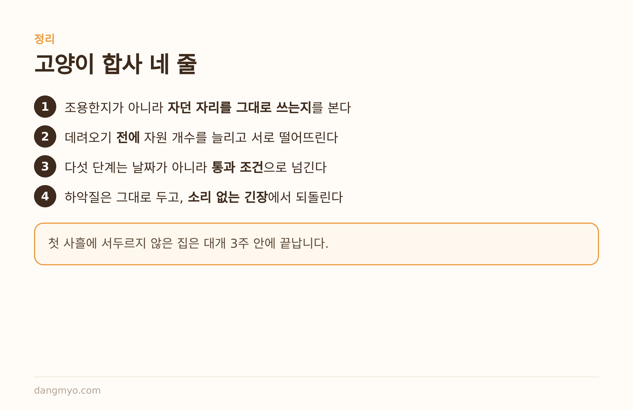 고양이 합사 네 줄 요약
