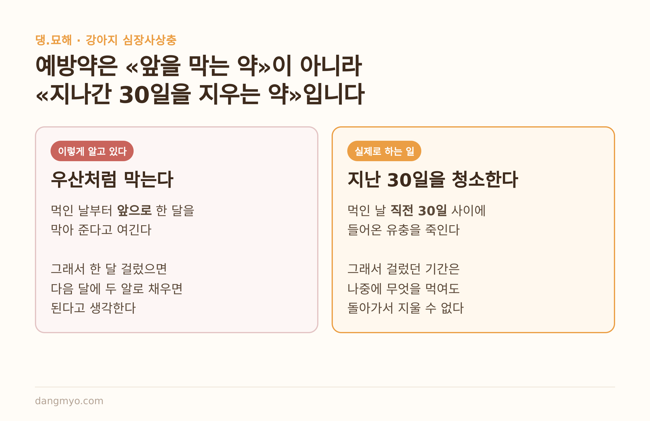 예방약의 작용 방향 — 앞을 막는 것이 아니라 지난 30일을 지우는 것