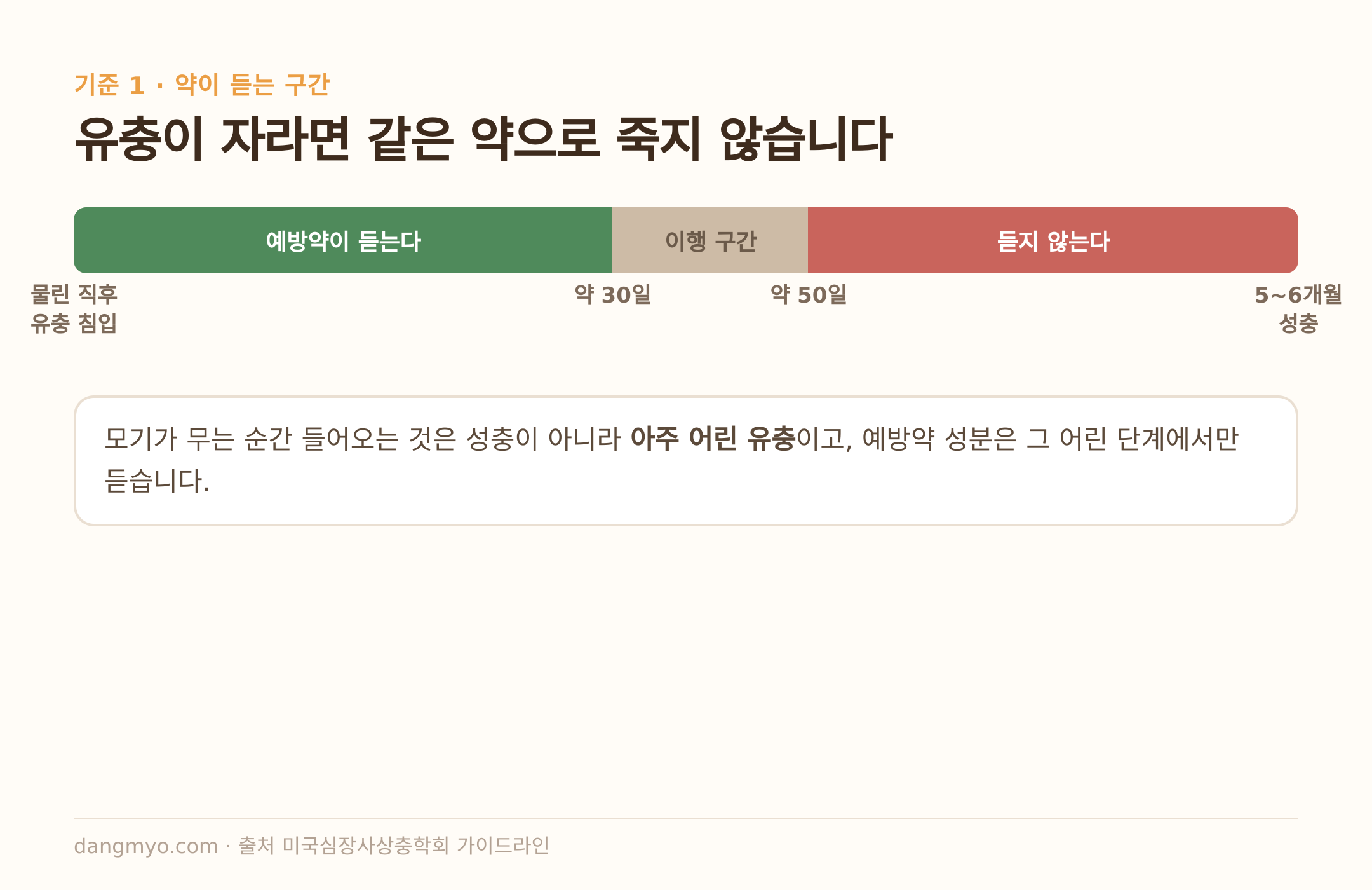 유충 성장 단계별로 약이 듣는 구간 (출처: 미국심장사상충학회 가이드라인)