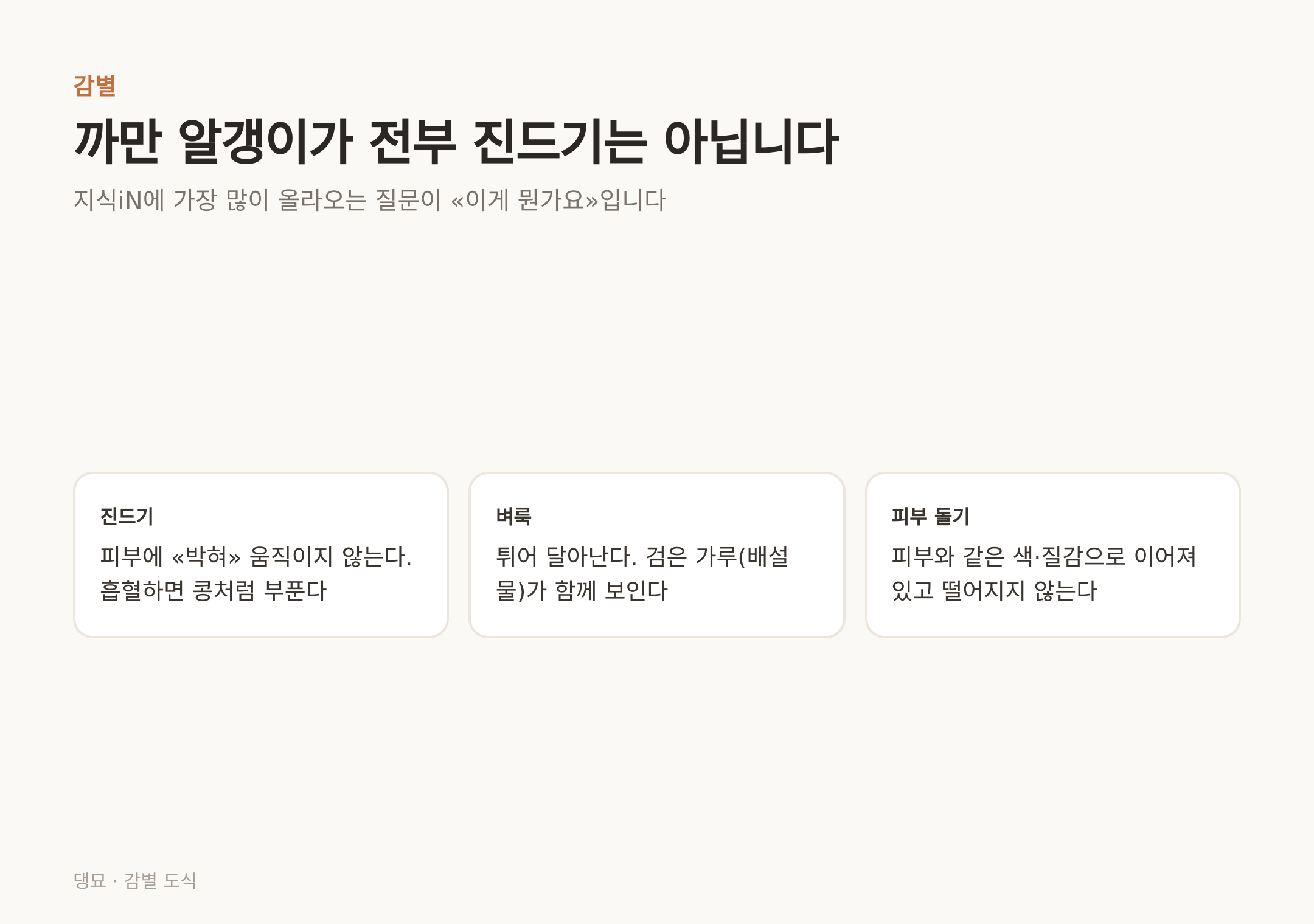 까만 알갱이가 전부 진드기는 아니다 — 진드기·벼룩·피부 돌기 감별
