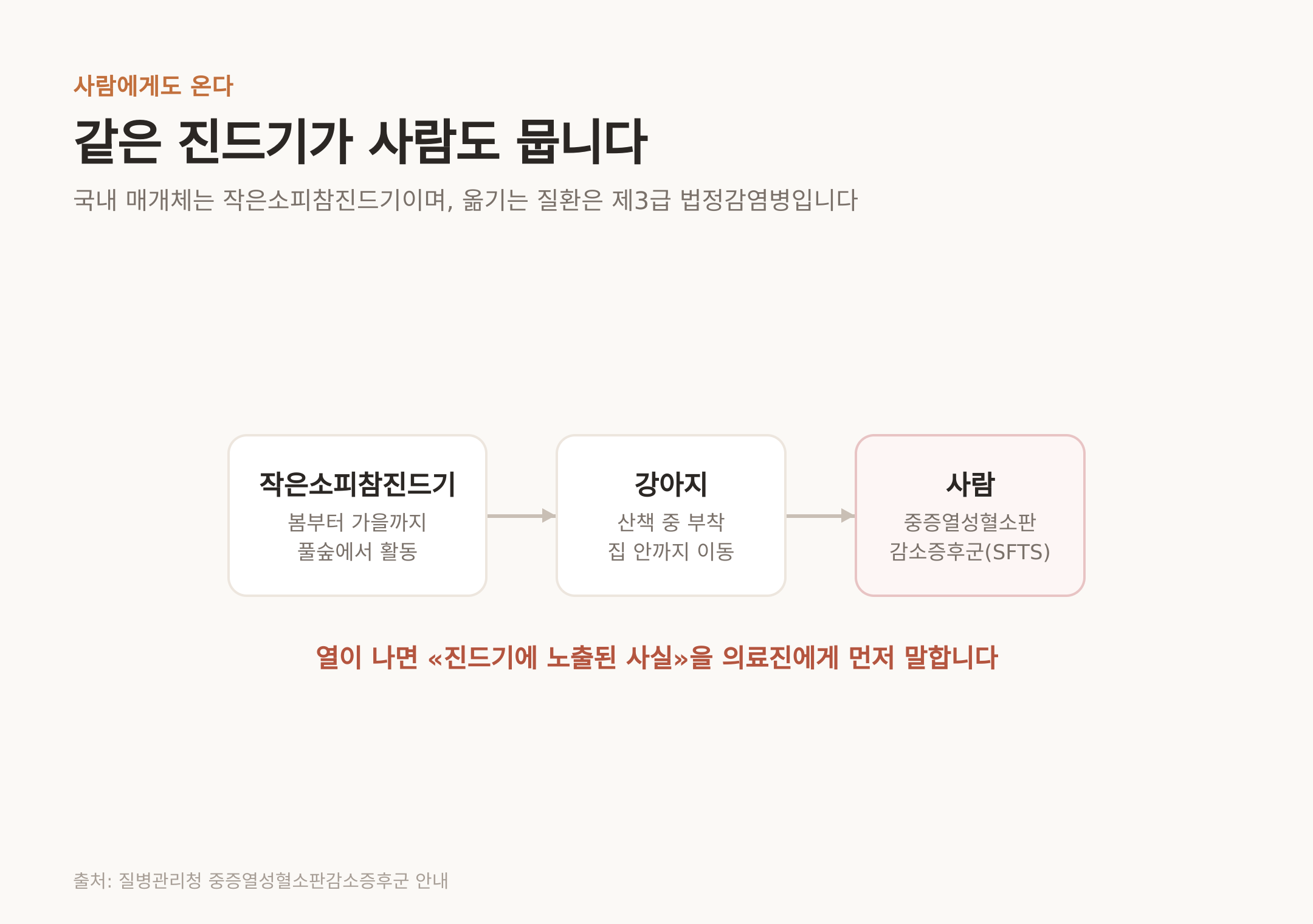 작은소피참진드기에서 사람까지의 경로 (출처: 질병관리청 중증열성혈소판감소증후군 안내)