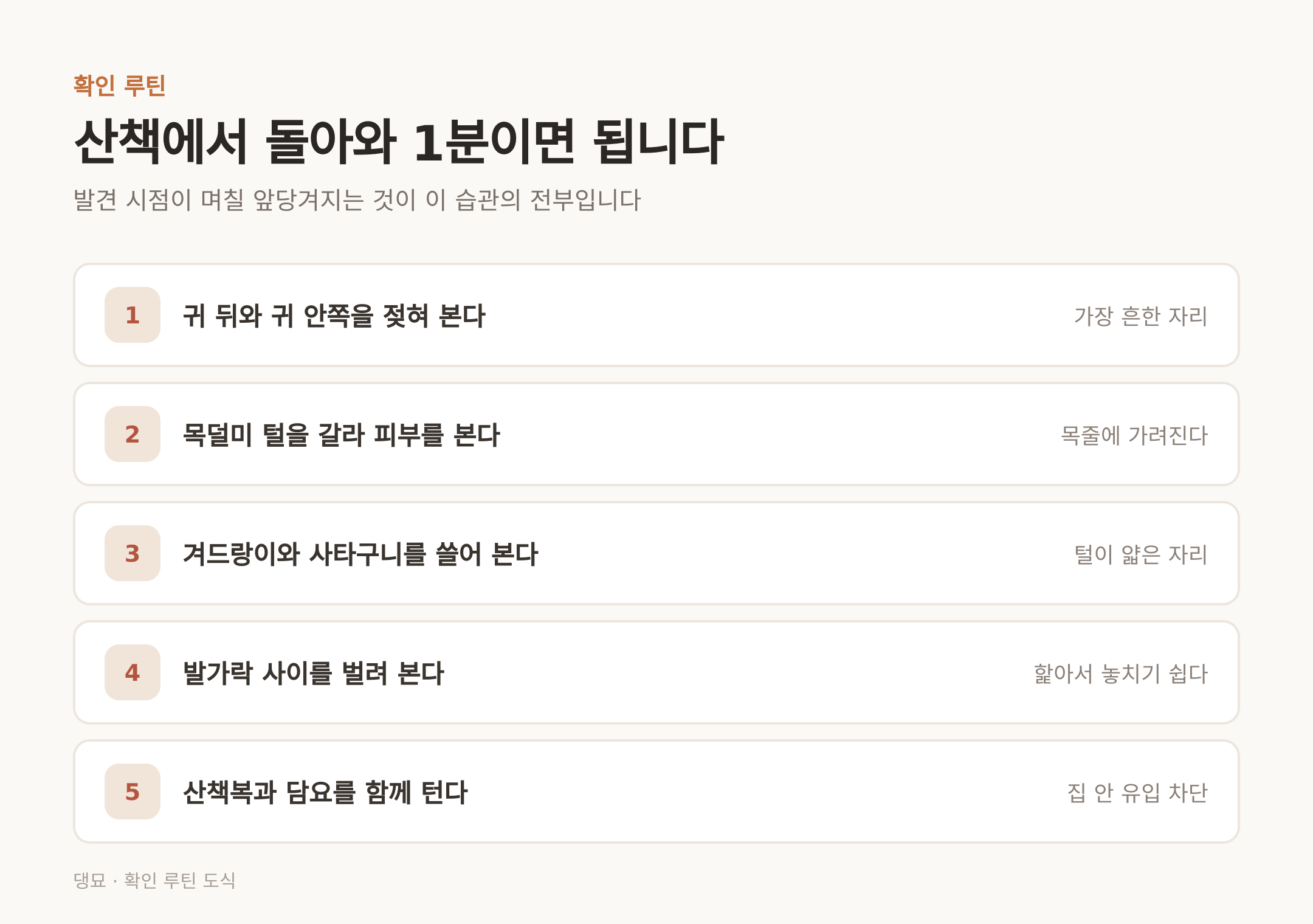 산책에서 돌아와 1분이면 되는 확인 루틴 다섯 단계