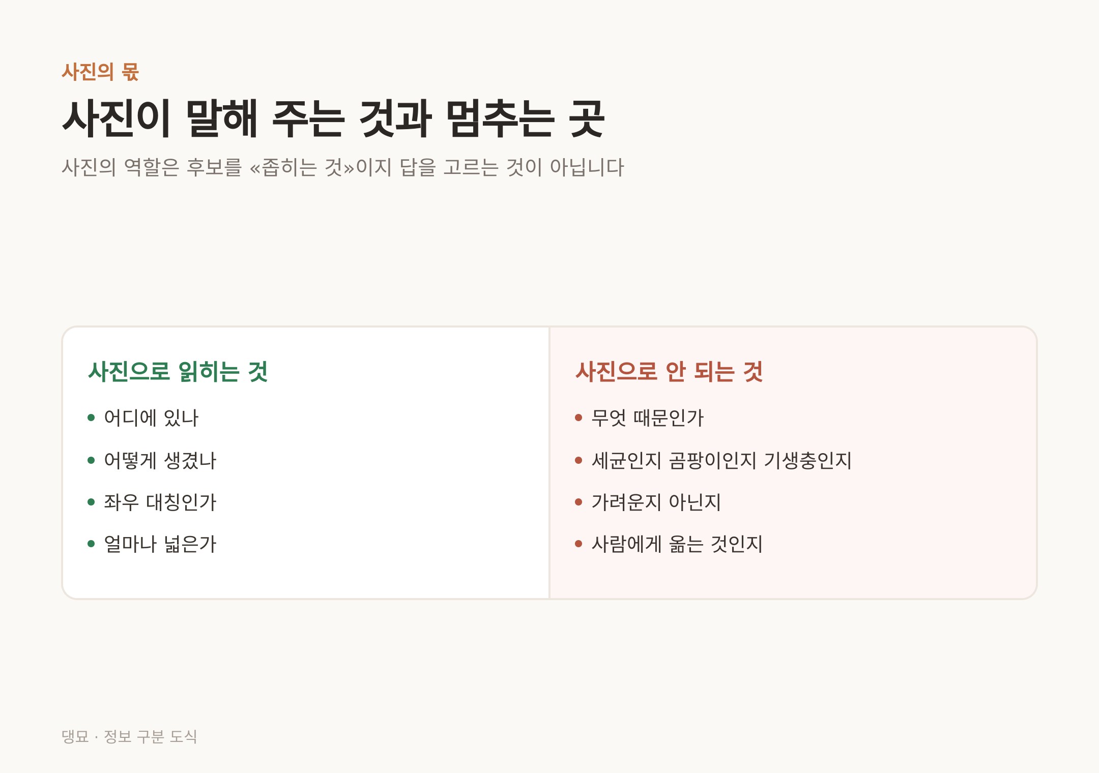 사진이 읽어 주는 네 가지와, 사진이 멈추는 지점 (출처: 머크 수의 매뉴얼 개 피부질환 항목)