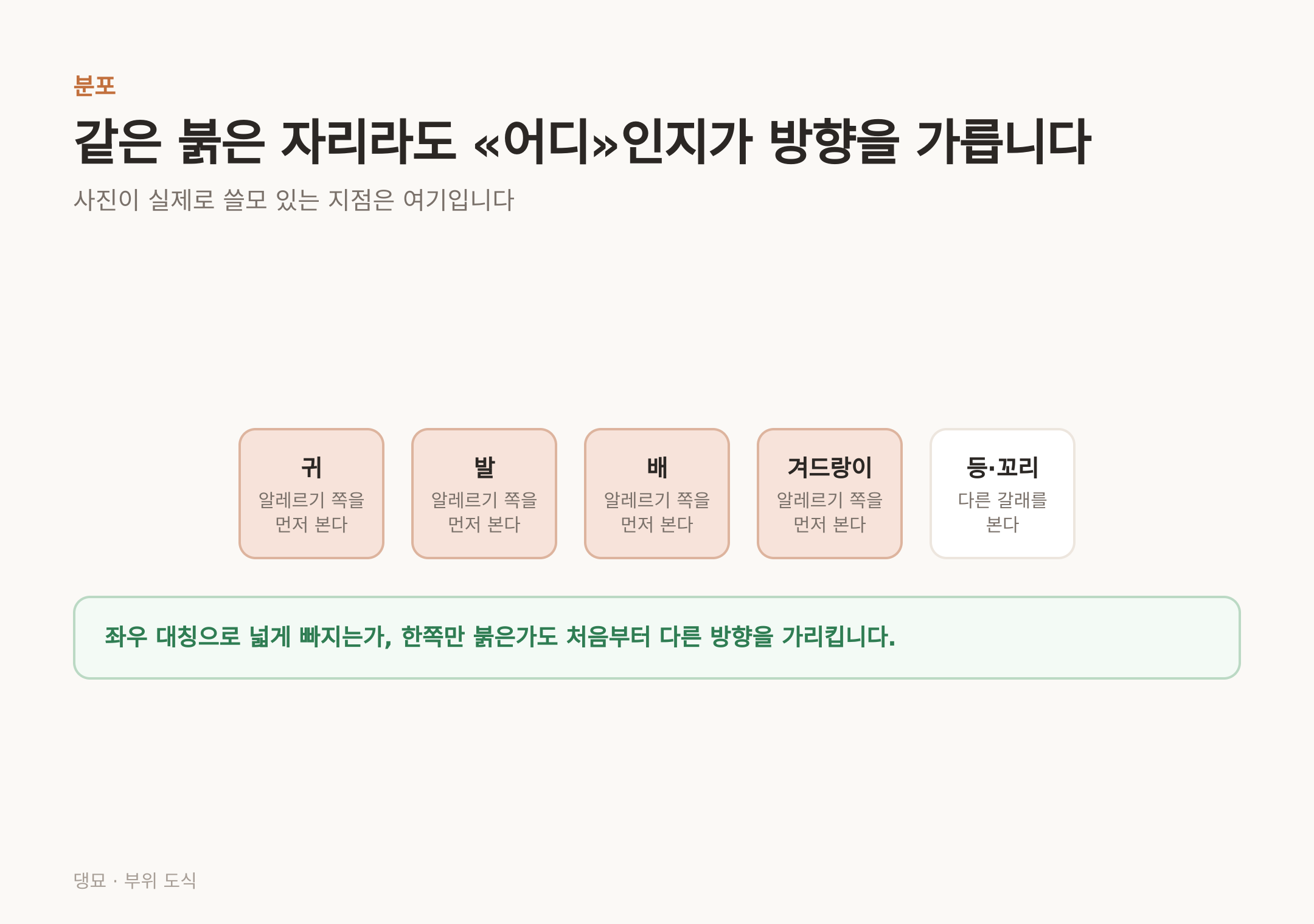 병변이 몰린 부위가 처음 방향을 정한다