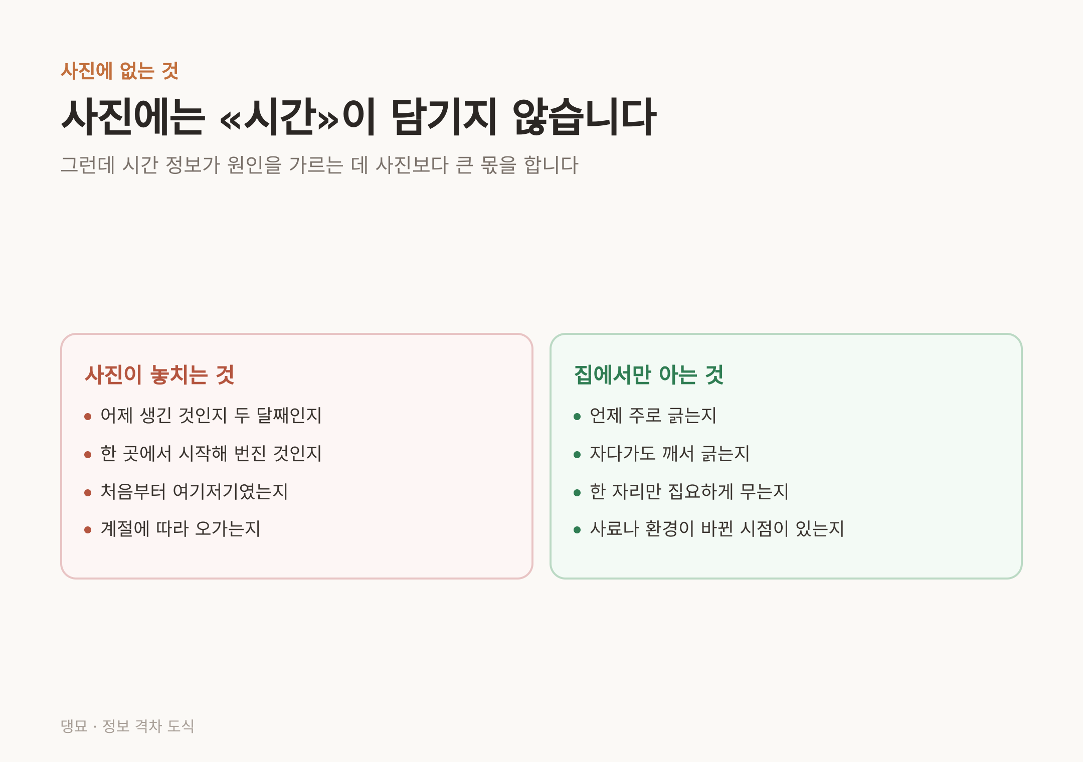 사진에 담기지 않는 시간 정보와, 집에서만 알 수 있는 것