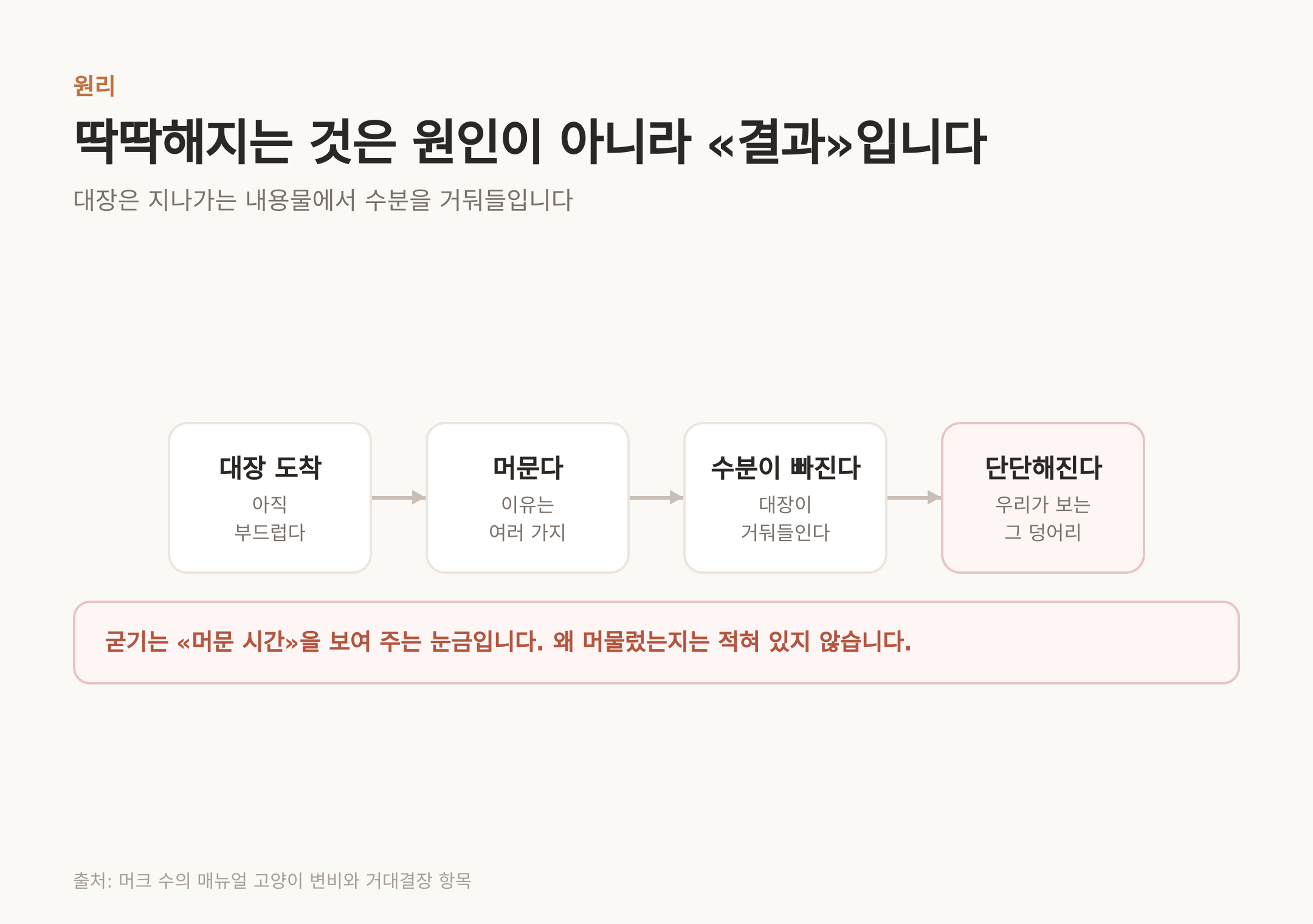대장이 수분을 거둬들이면서 단단해지는 과정 (출처: 머크 수의 매뉴얼 고양이 변비와 거대결장 항목)
