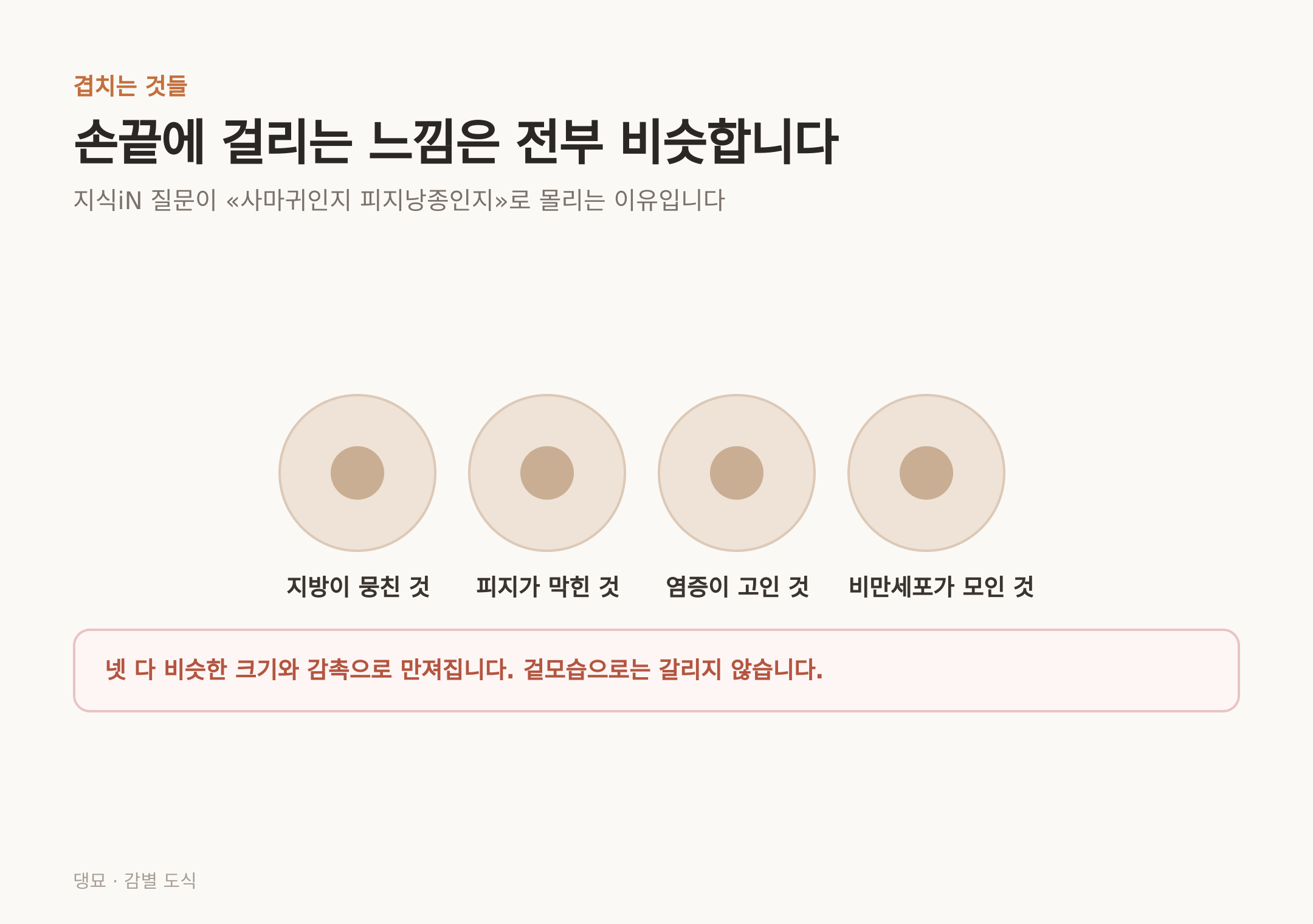 손끝에 걸리는 덩어리 네 종류는 비슷한 크기와 감촉으로 만져진다