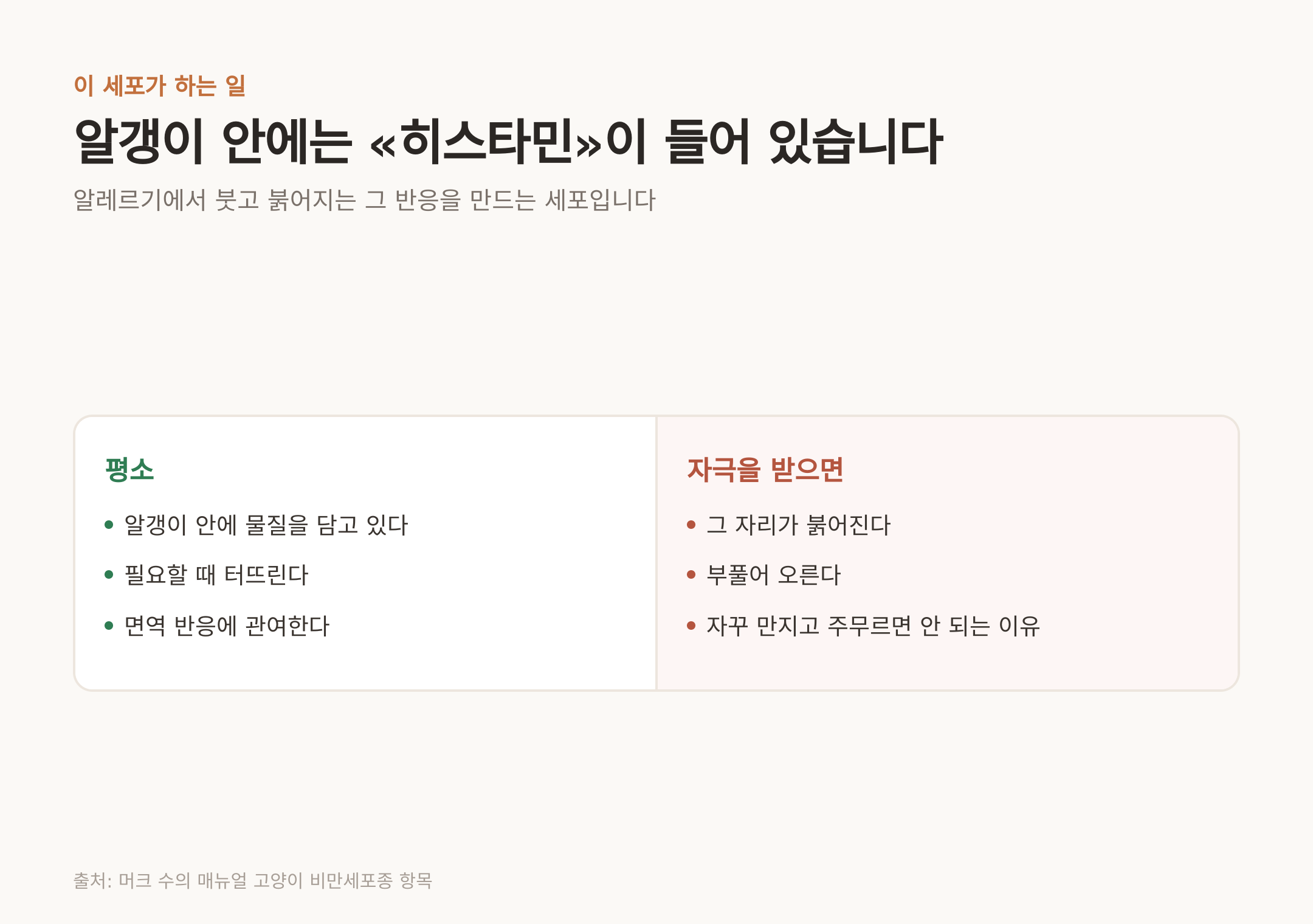 알갱이 안의 히스타민과 자극받았을 때의 반응 (출처: 머크 수의 매뉴얼 고양이 비만세포종 항목)