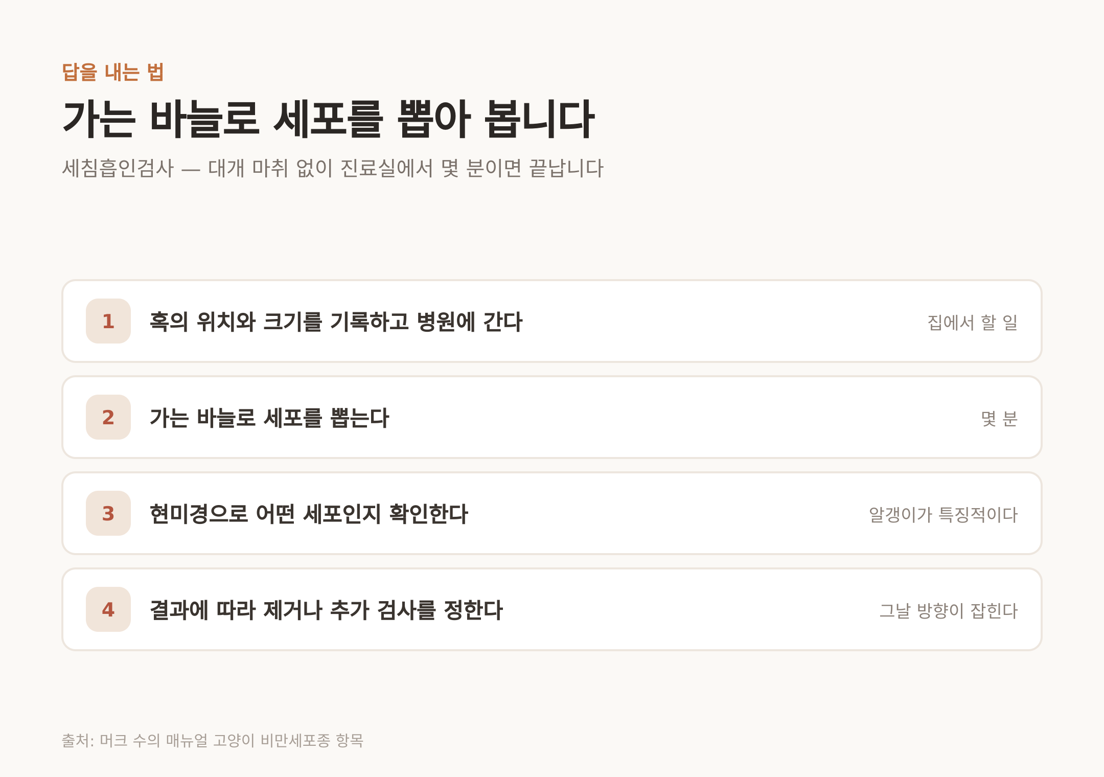 세침흡인검사 네 단계 — 대개 마취 없이 몇 분이면 끝난다