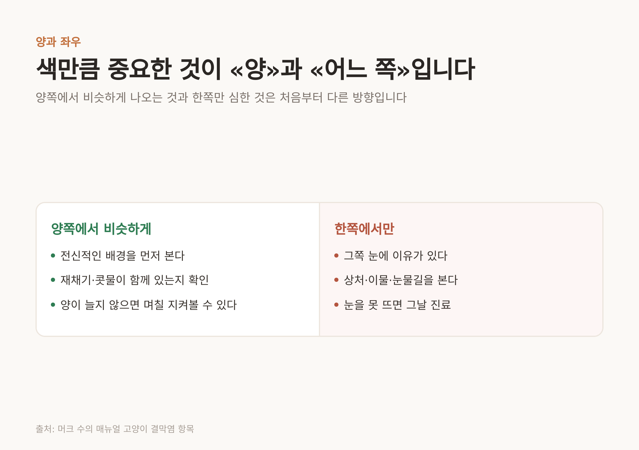 어느 쪽 눈인지가 그다음 볼 것을 정한다