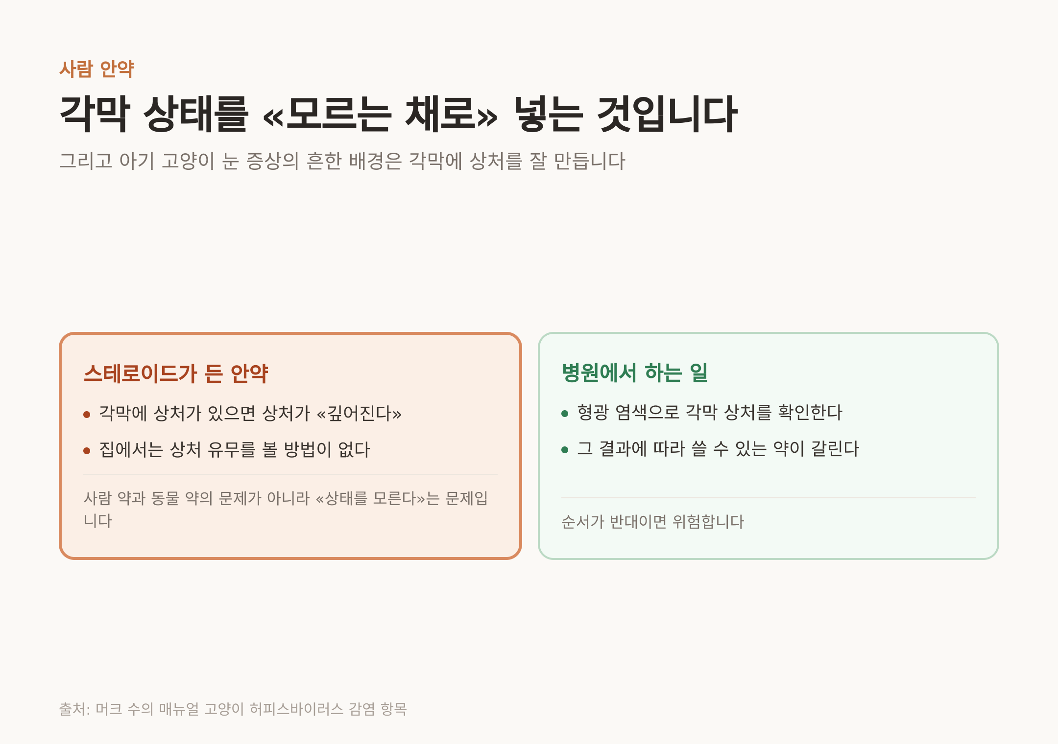 각막 상태를 모르는 채로 넣는 것이 위험하다 (출처: 머크 수의 매뉴얼 고양이 허피스바이러스 감염 항목)