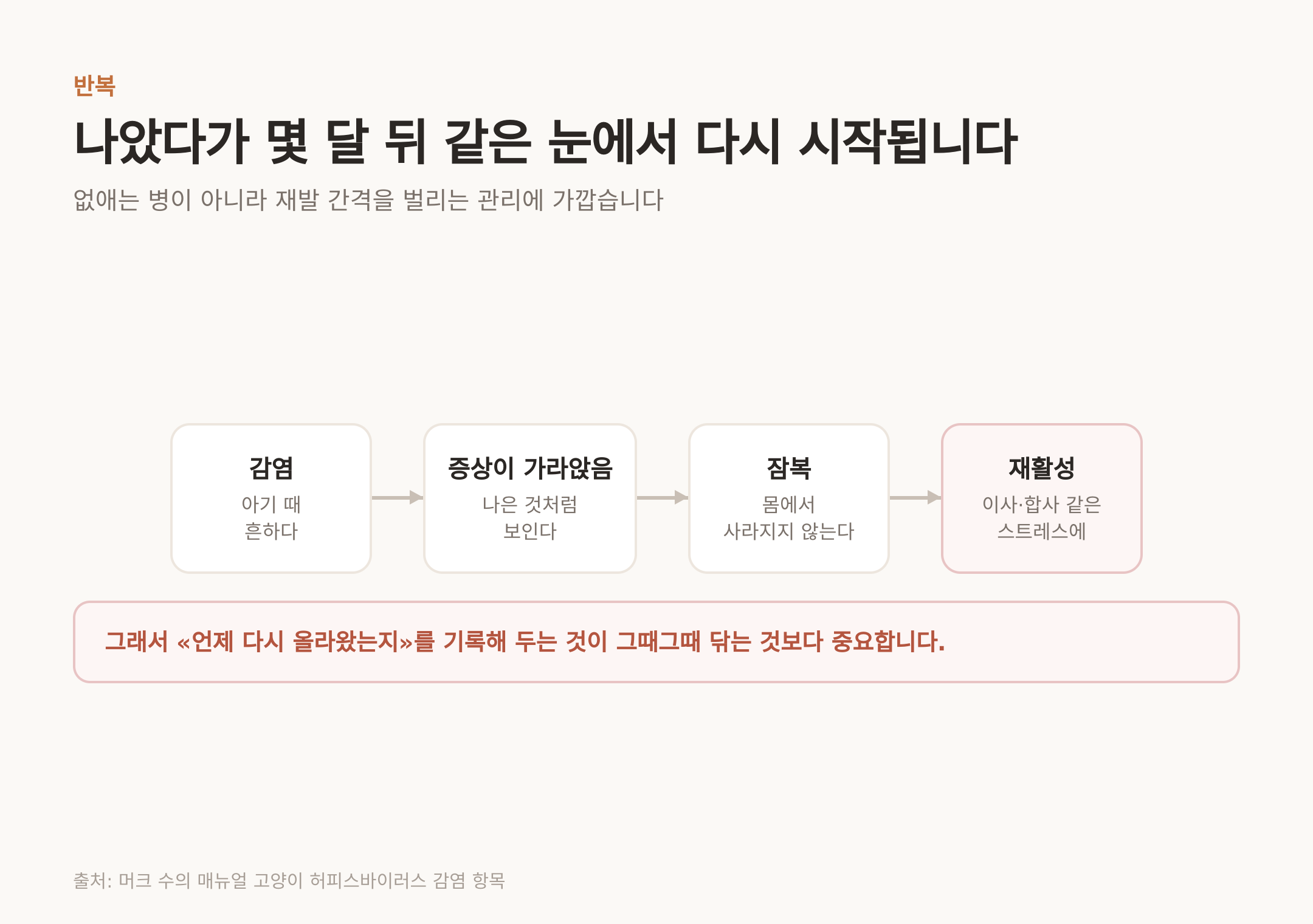 잠복하다 스트레스에 다시 올라오는 경로 (출처: 머크 수의 매뉴얼 고양이 허피스바이러스 감염 항목)