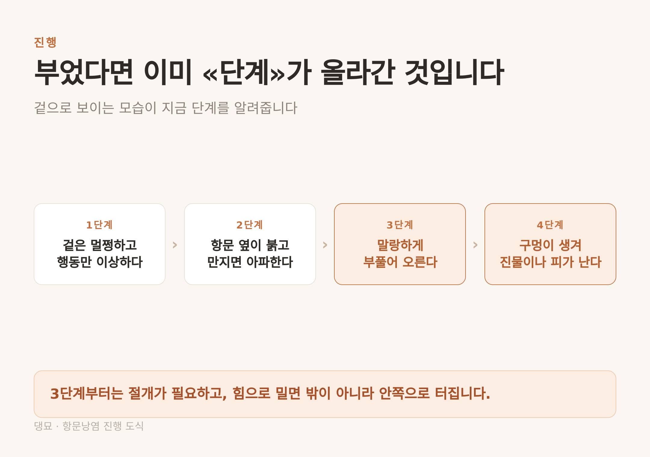 항문낭염 진행 4단계 — 3단계부터는 절개가 필요하다