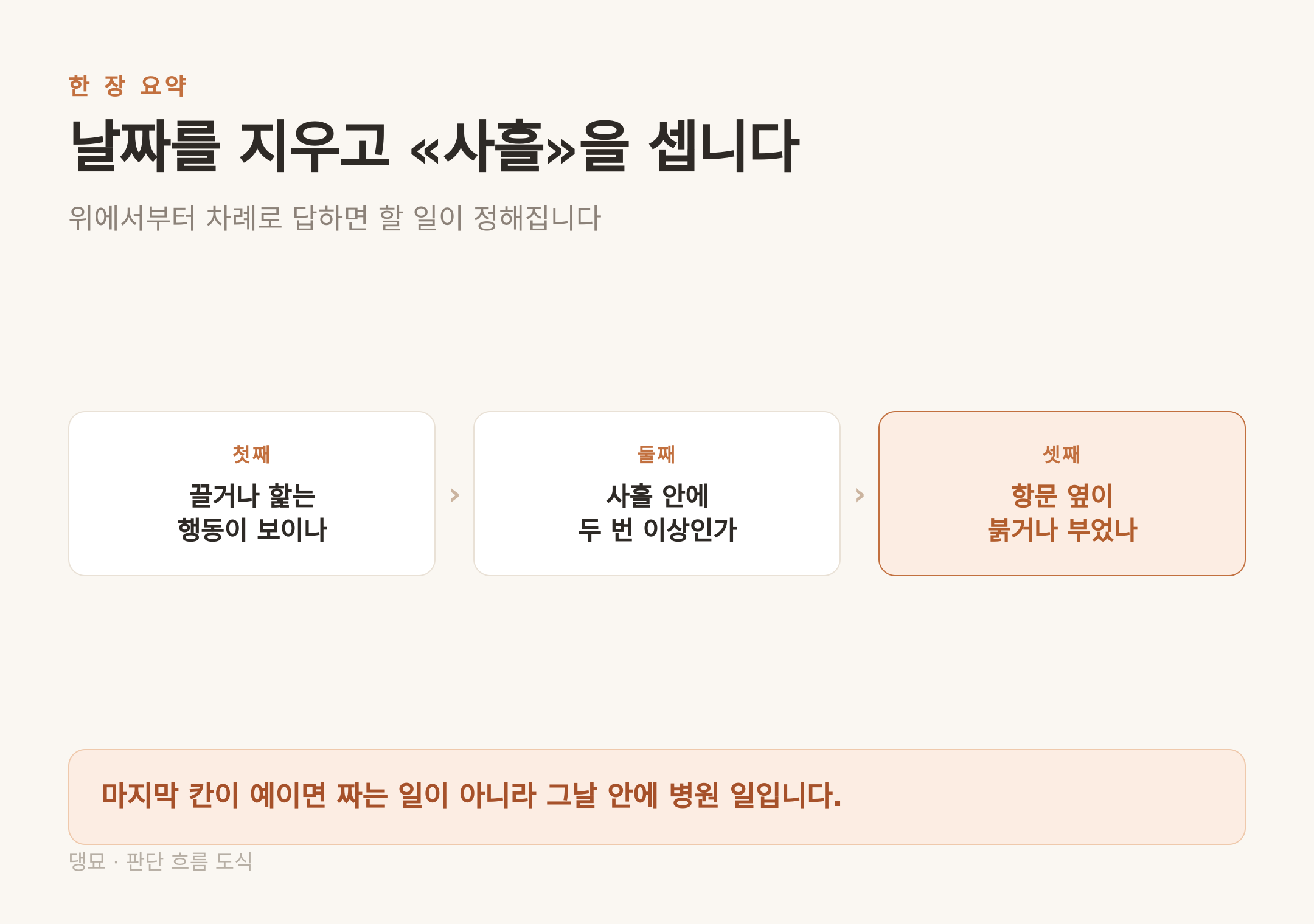 판단 흐름 — 행동, 사흘, 겉모습 순으로 답하면 할 일이 정해진다
