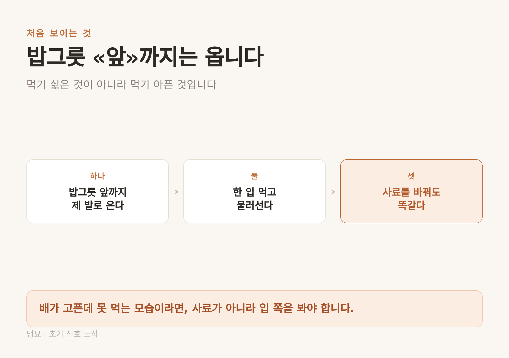 밥그릇 앞까지는 온다 — 먹기 싫은 것이 아니라 먹기 아픈 것이다