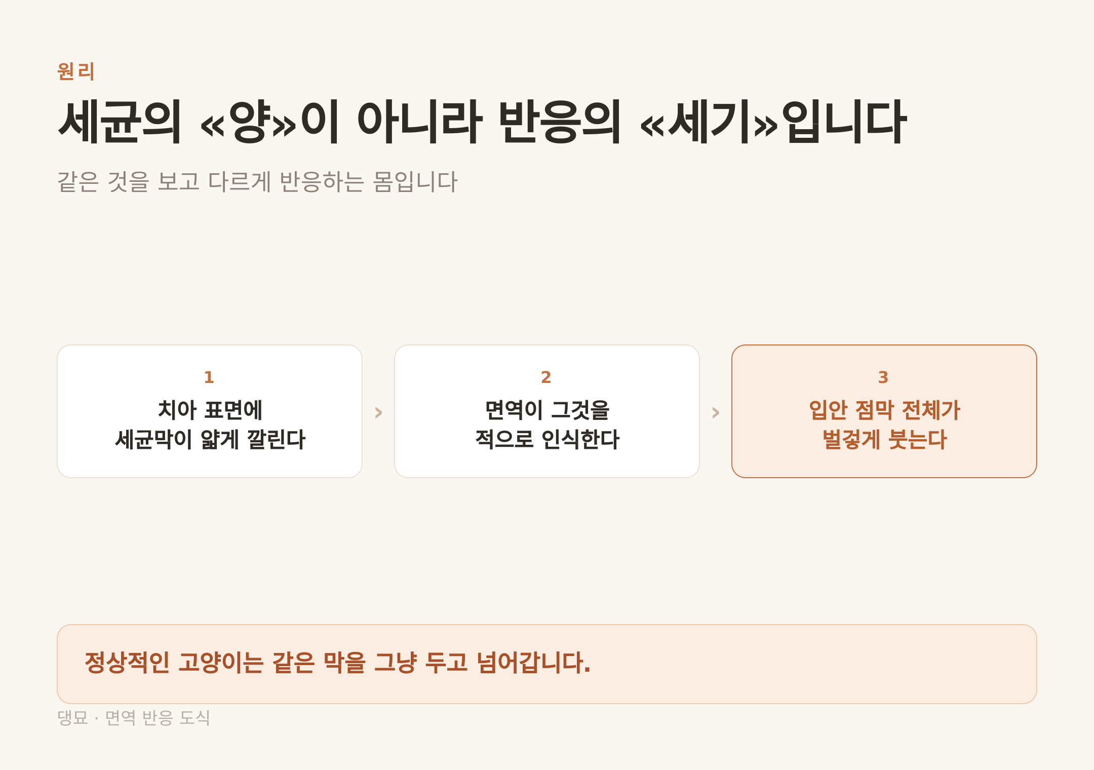 세균의 양이 아니라 면역 반응의 세기가 문제다