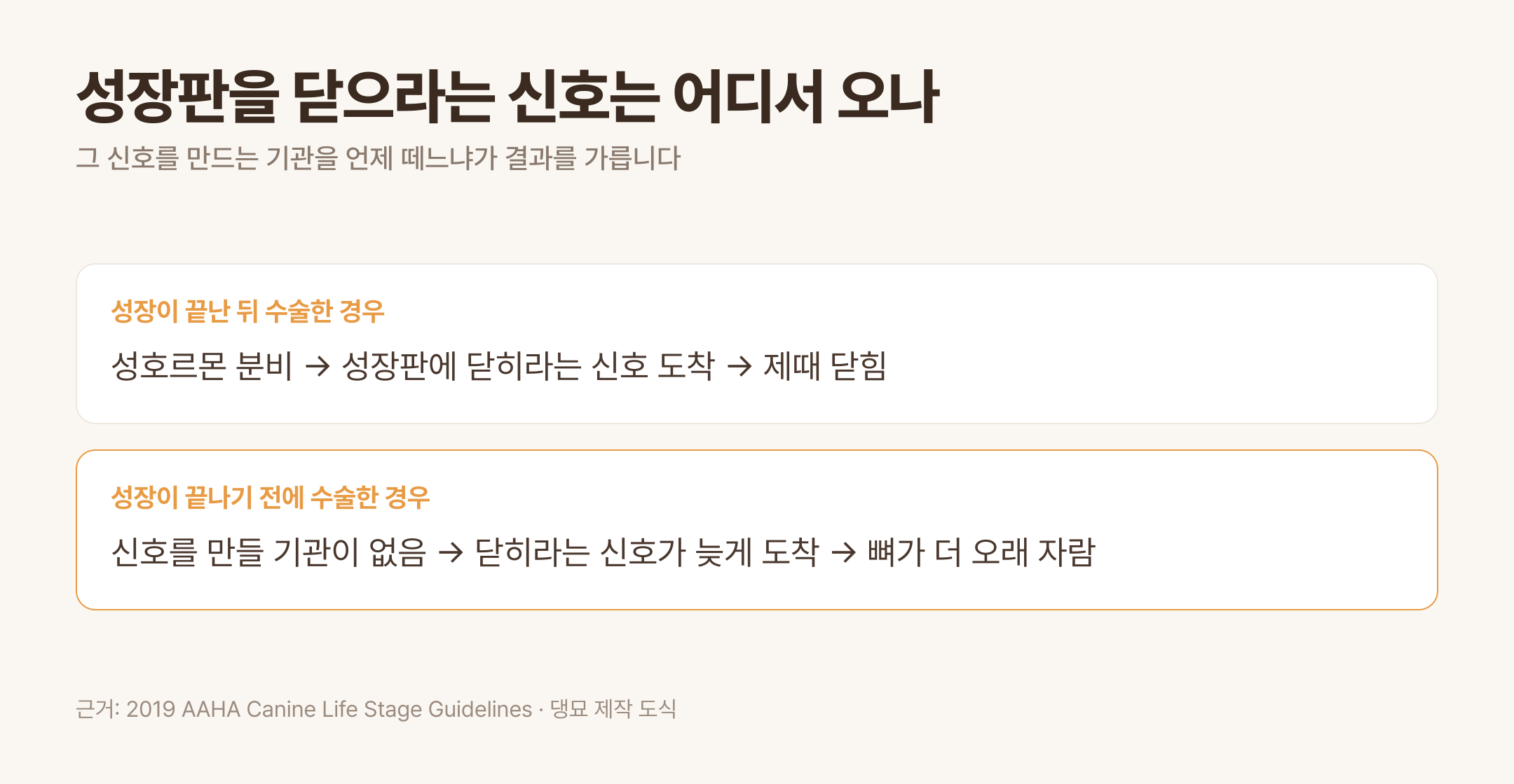 성장판을 닫으라는 신호와 중성화 시점의 관계 · 근거: 2019 AAHA Canine Life Stage Guidelines