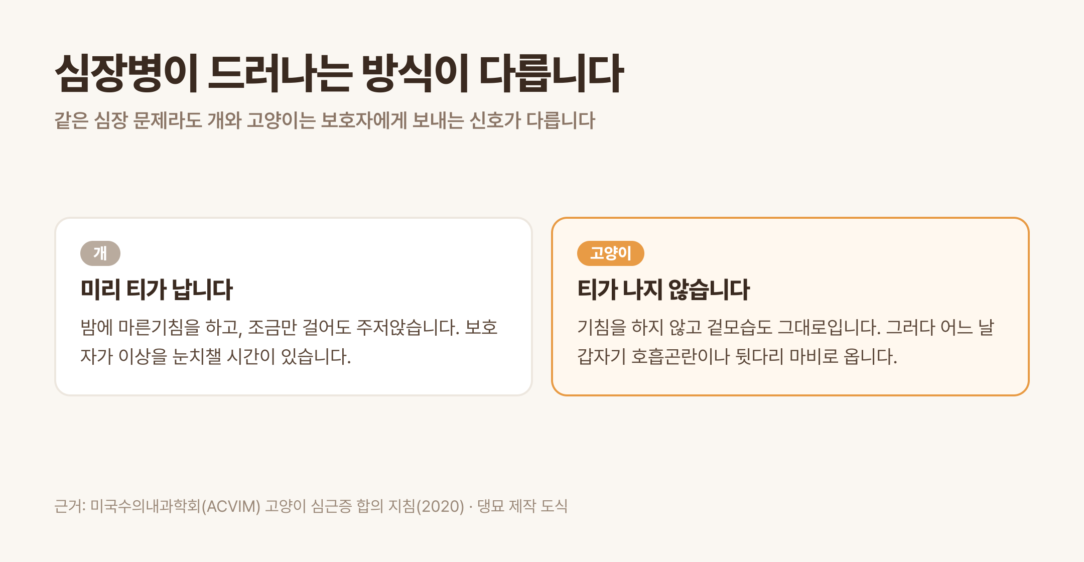 개는 기침으로 미리 티가 나지만 고양이는 갑자기 옵니다 (근거: ACVIM 고양이 심근증 합의 지침 2020 · 댕묘 제작 도식)