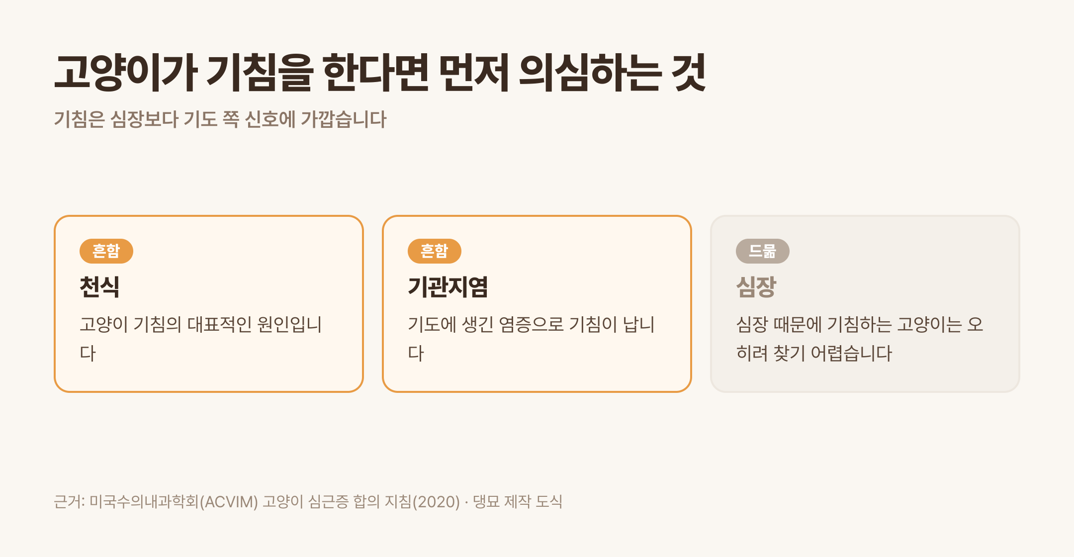 고양이가 기침을 한다면 천식·기관지염이 먼저입니다 (근거: ACVIM 고양이 심근증 합의 지침 2020 · 댕묘 제작 도식)
