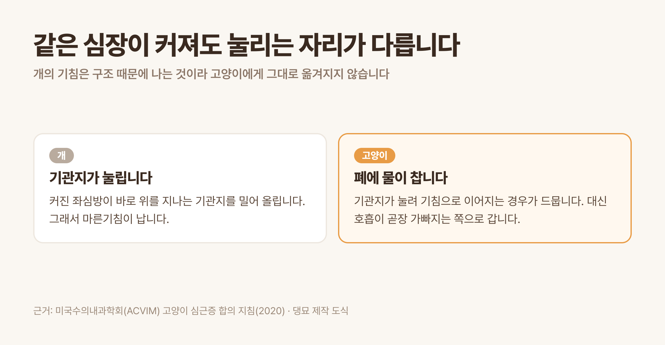 개는 기관지가 눌려 기침하고 고양이는 폐에 물이 차 호흡이 가빠집니다 (근거: ACVIM 고양이 심근증 합의 지침 2020 · 댕묘 제작 도식)
