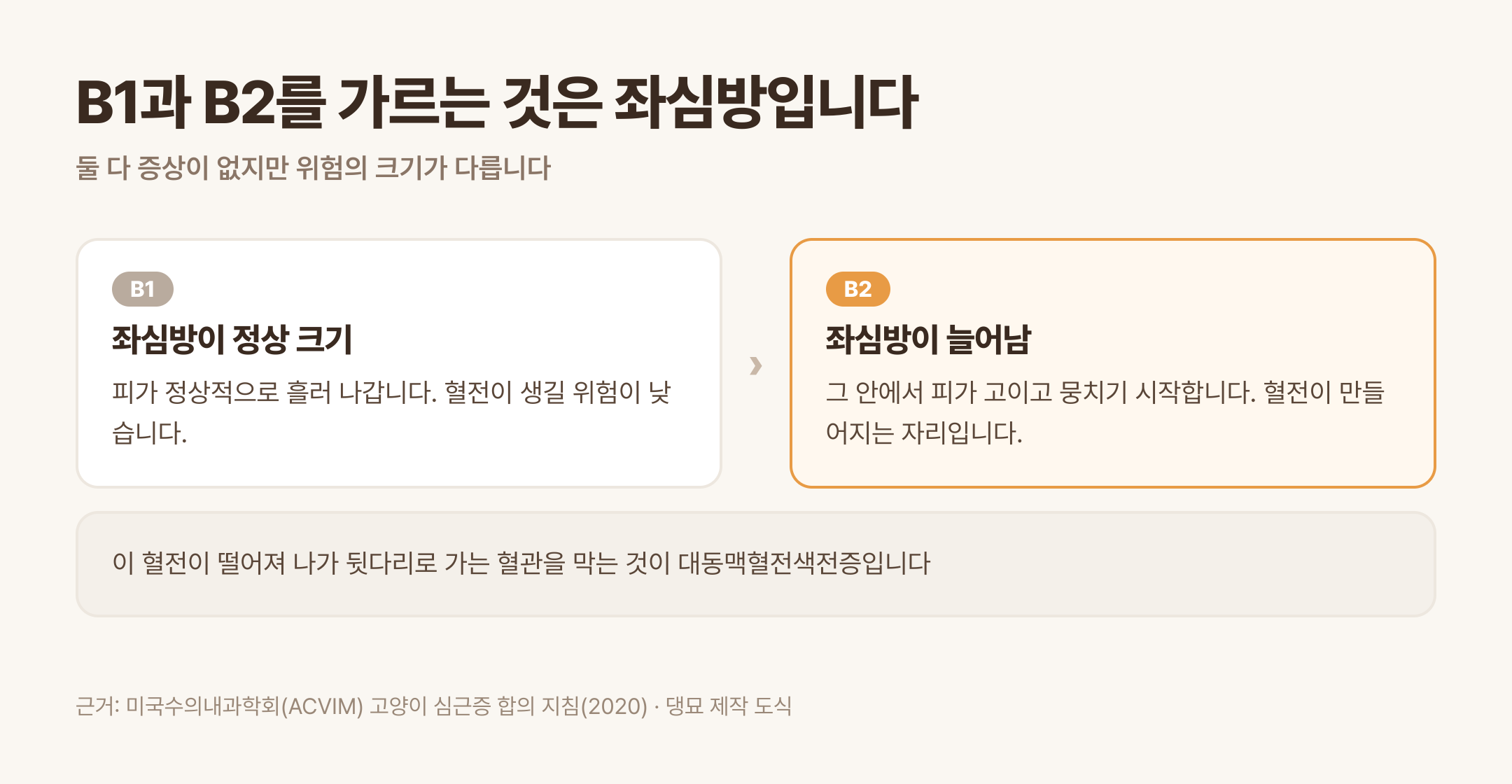 B1과 B2를 가르는 것은 좌심방 확대이고 그 자리에서 혈전이 생깁니다 (근거: ACVIM 고양이 심근증 합의 지침 2020 · 댕묘 제작 도식)