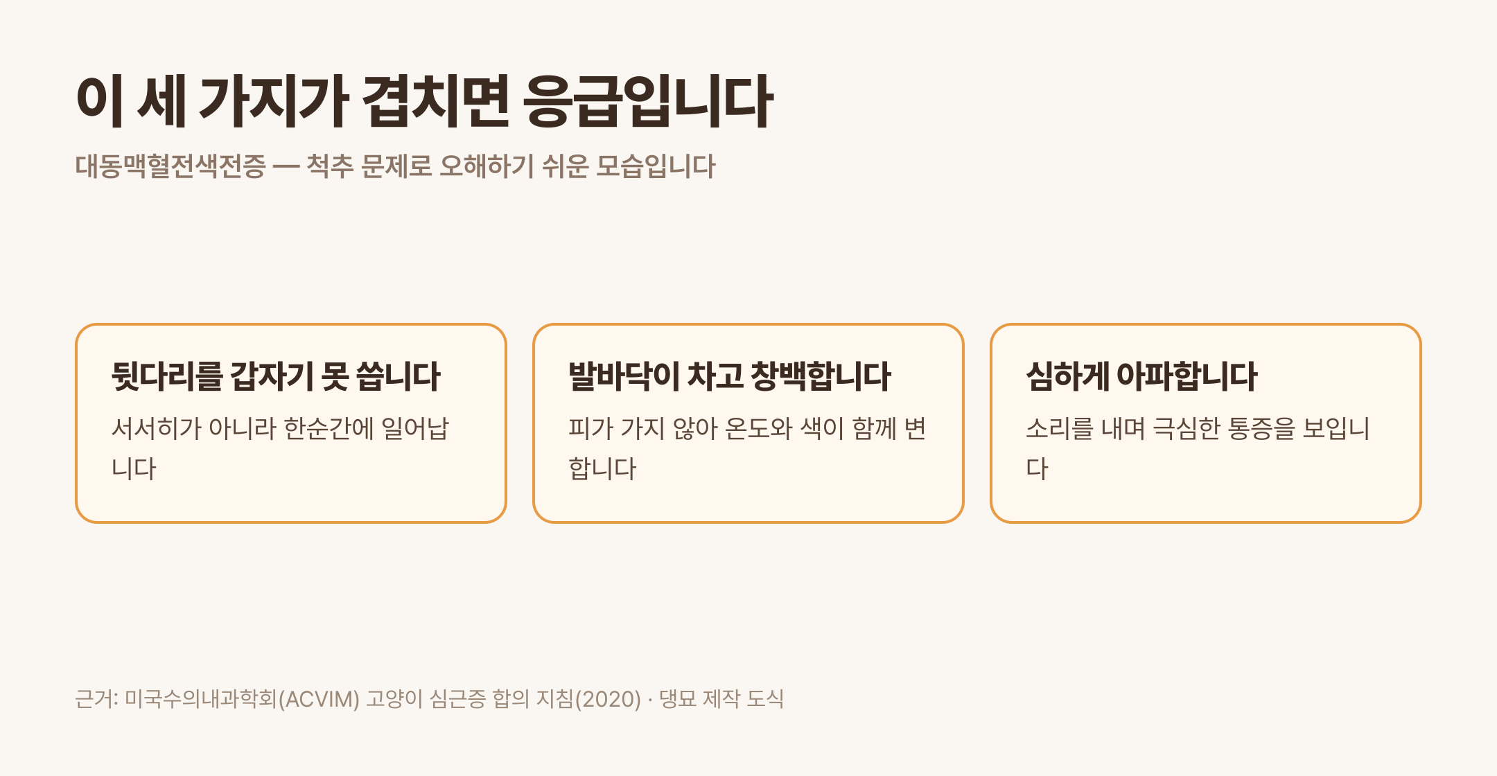 대동맥혈전색전증의 세 가지 응급 신호 (근거: ACVIM 고양이 심근증 합의 지침 2020 · 댕묘 제작 도식)