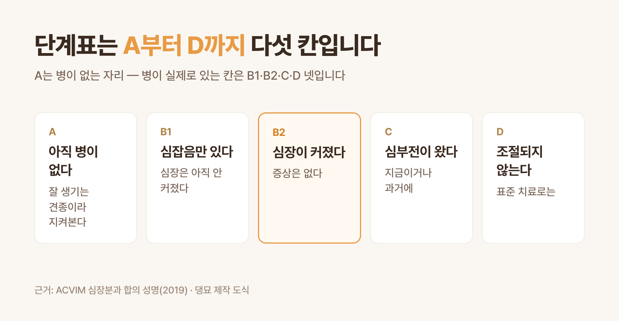 승모판 질환의 단계 A부터 D까지 (댕묘 제작 도식)