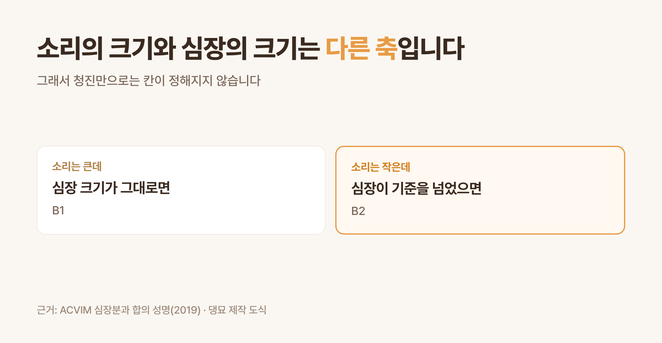 심잡음의 크기와 심장의 크기는 같은 축이 아니다 (댕묘 제작 도식)
