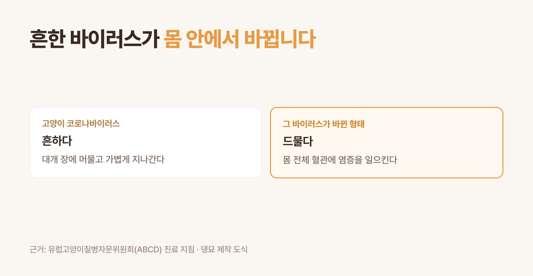 흔한 코로나바이러스와 몸 안에서 바뀐 형태 (댕묘 제작 도식)