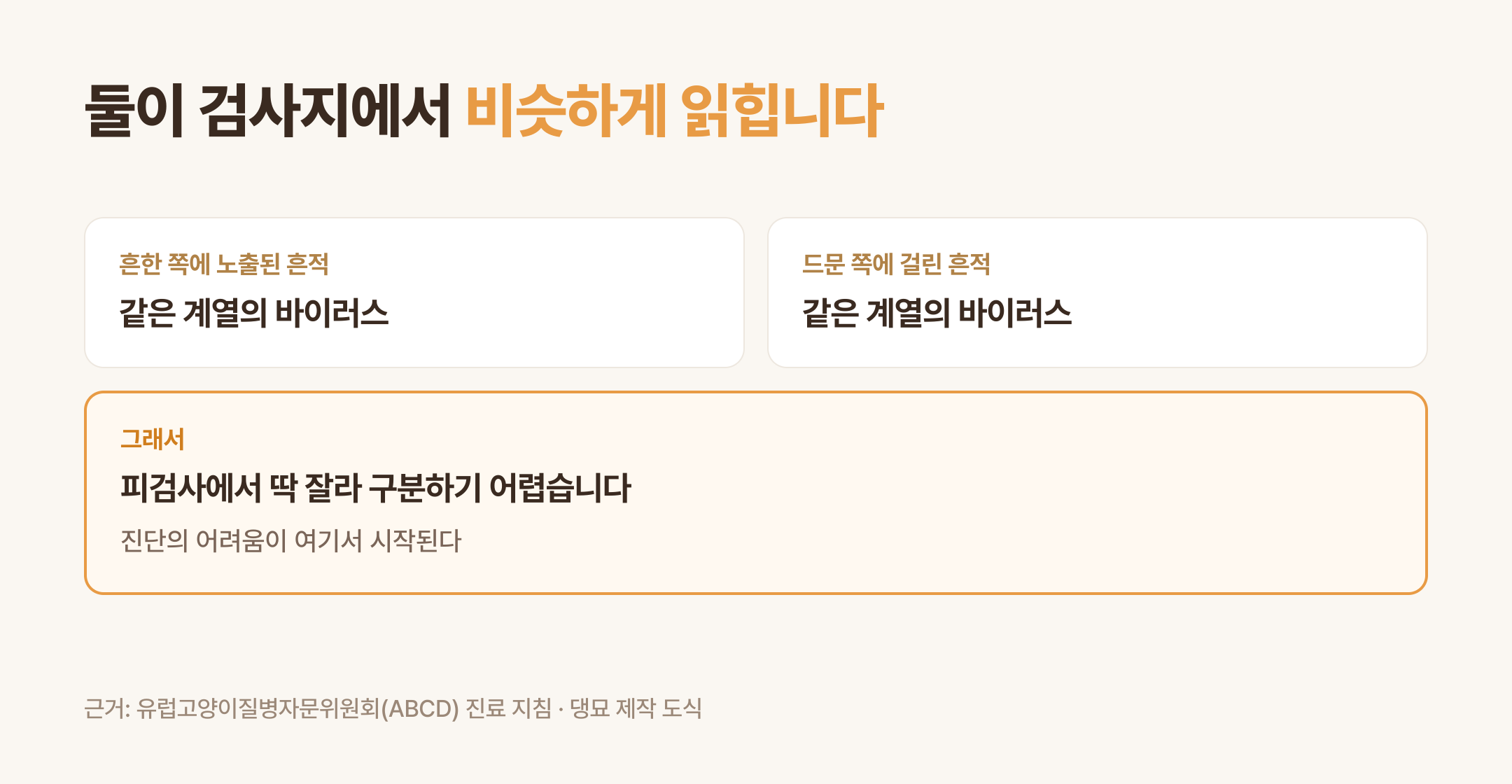 둘이 검사지에서 비슷하게 읽히는 이유 (댕묘 제작 도식)