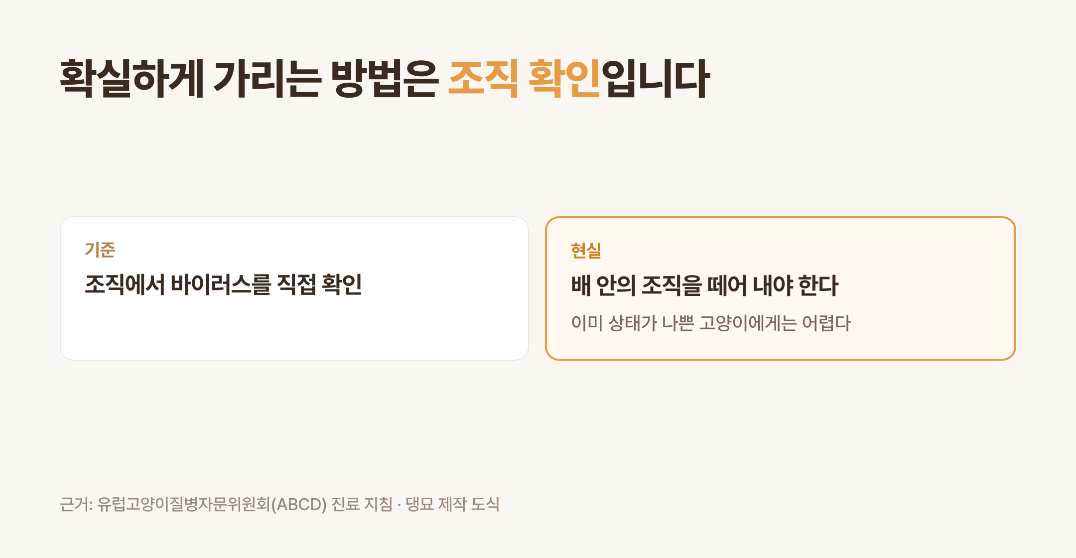 확실하게 가리는 기준은 조직 확인이다 (댕묘 제작 도식)