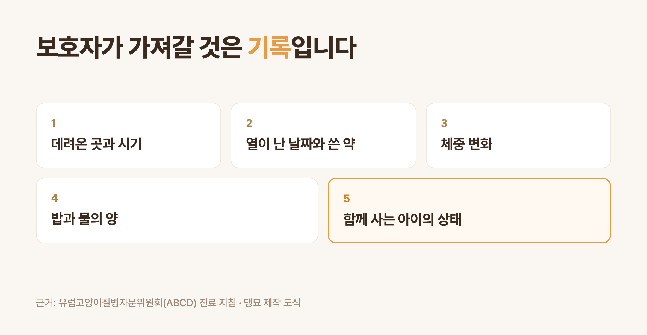 보호자가 적어 갈 다섯 줄 (댕묘 제작 도식)