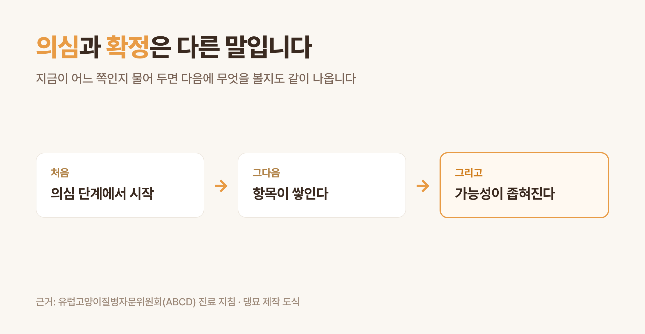 의심에서 확정으로 좁혀지는 과정 (댕묘 제작 도식)